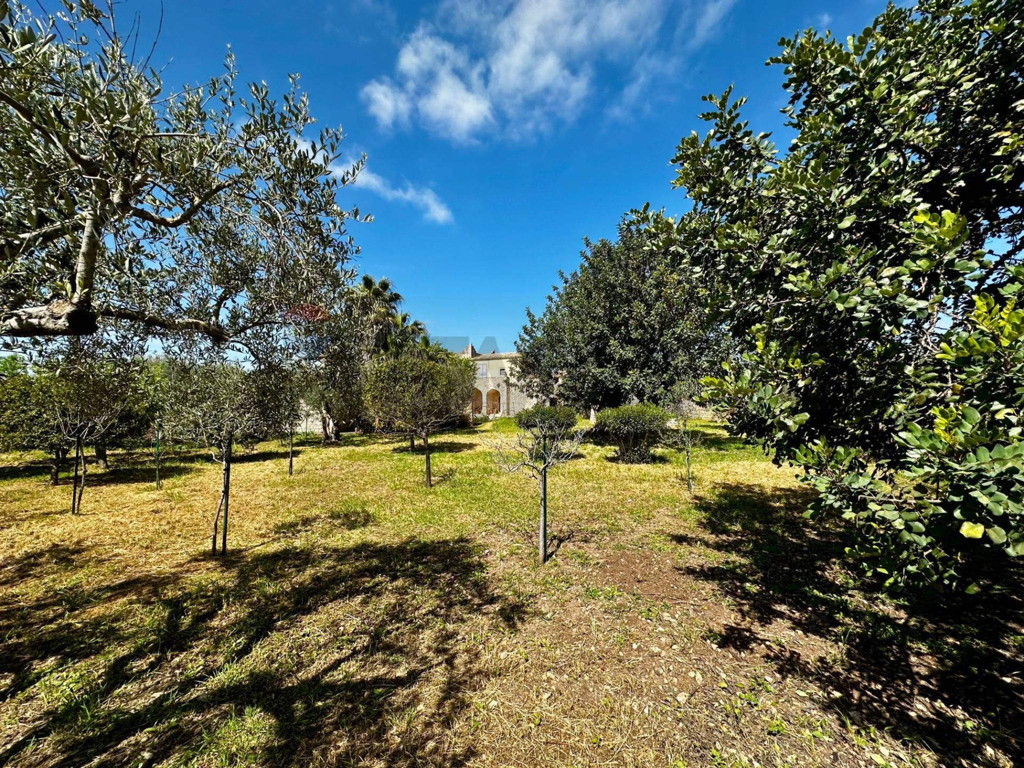 Giardino