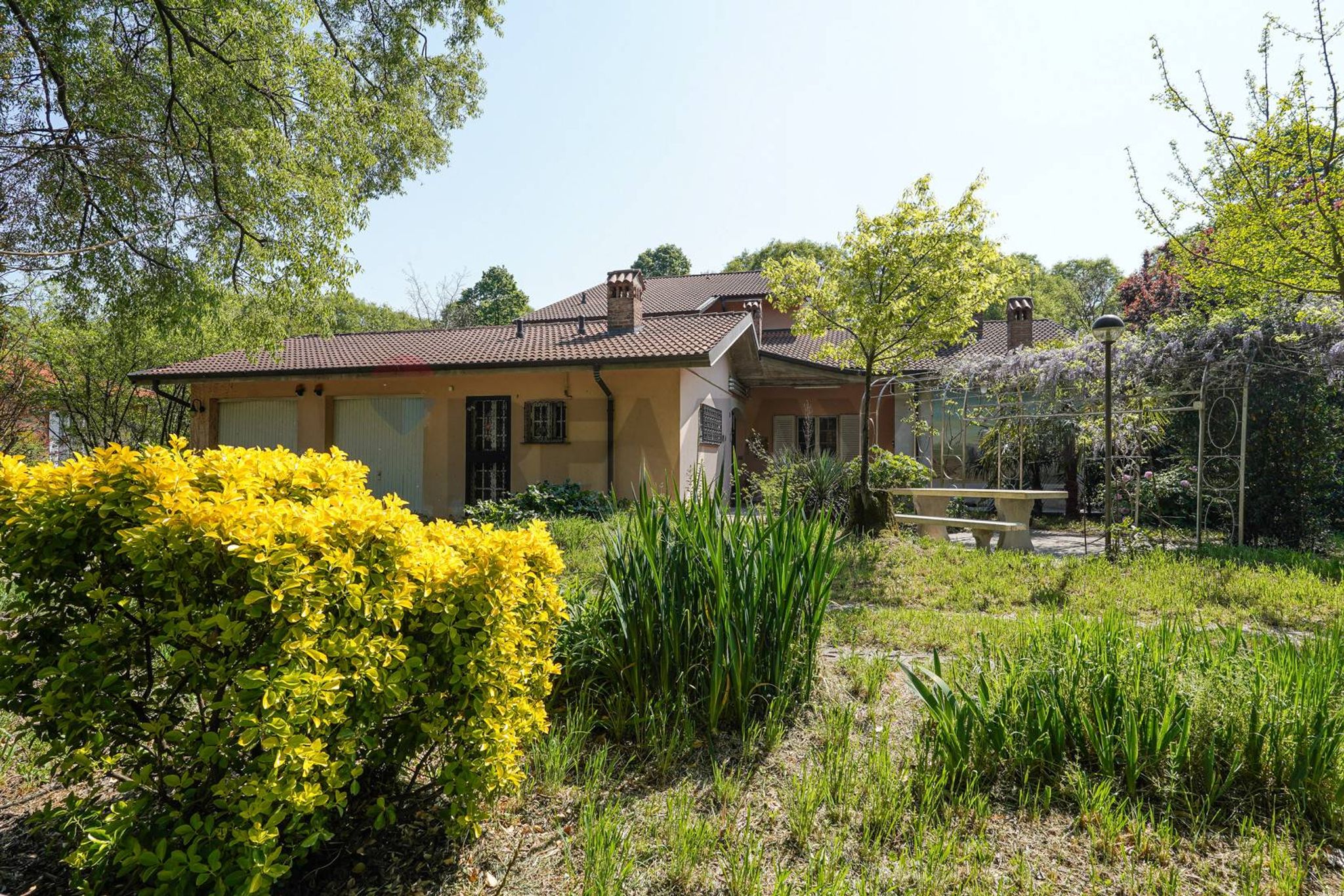 Giardino