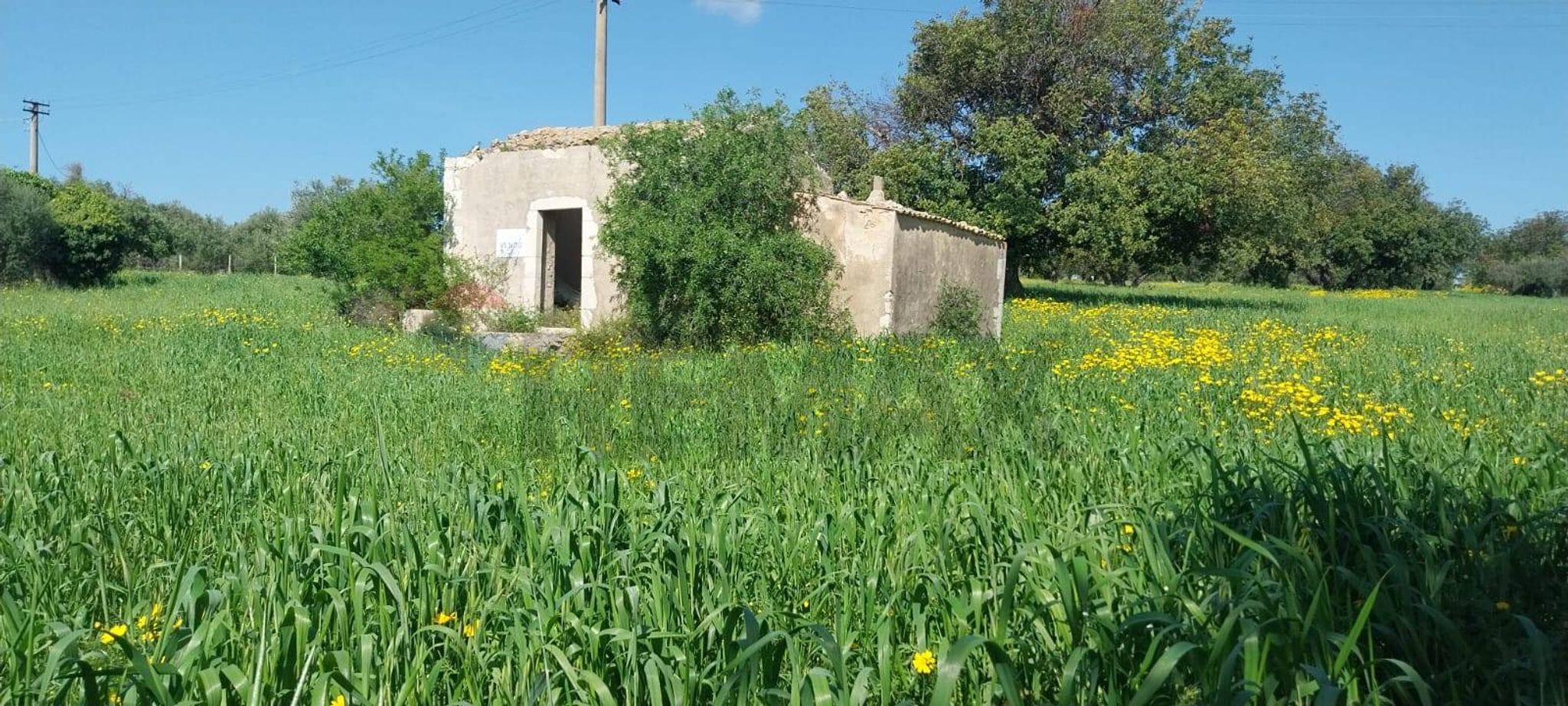 Giardino