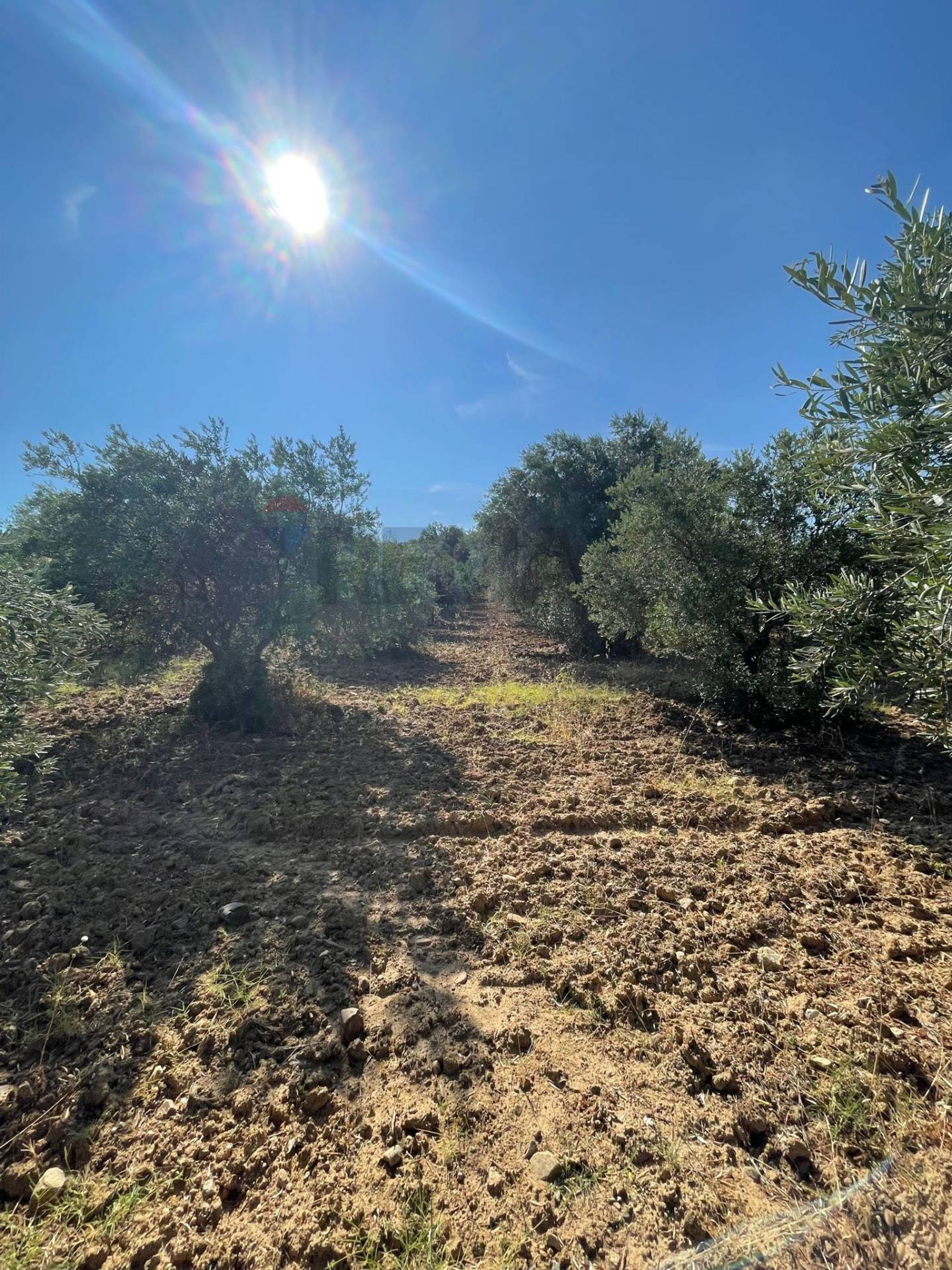 Property in San Demetrio Corone