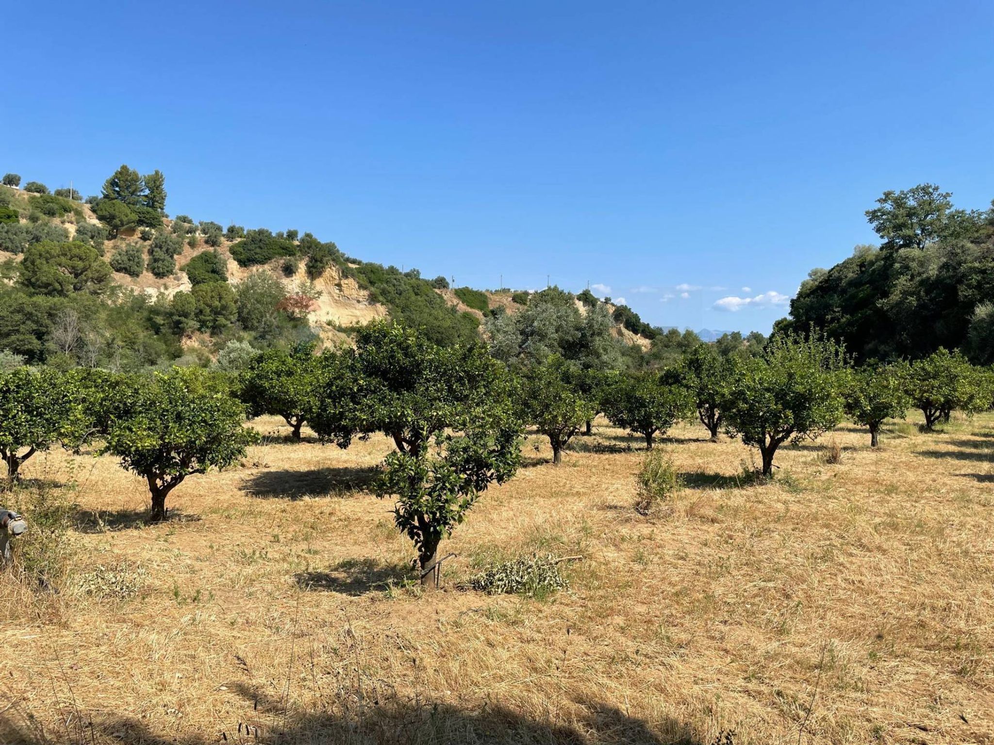 Vista delle montagne