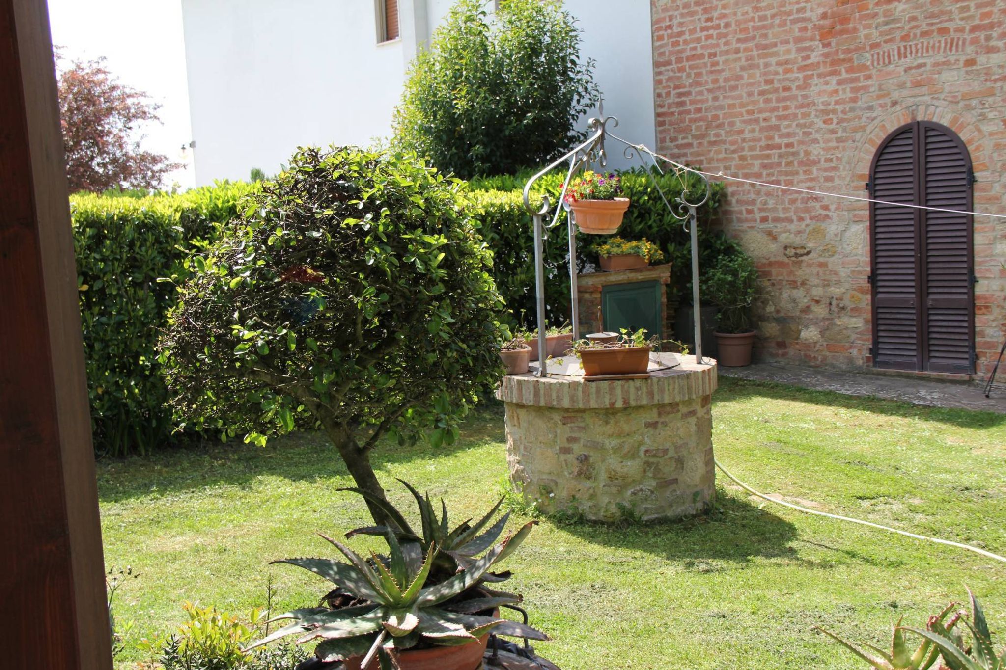 Giardino