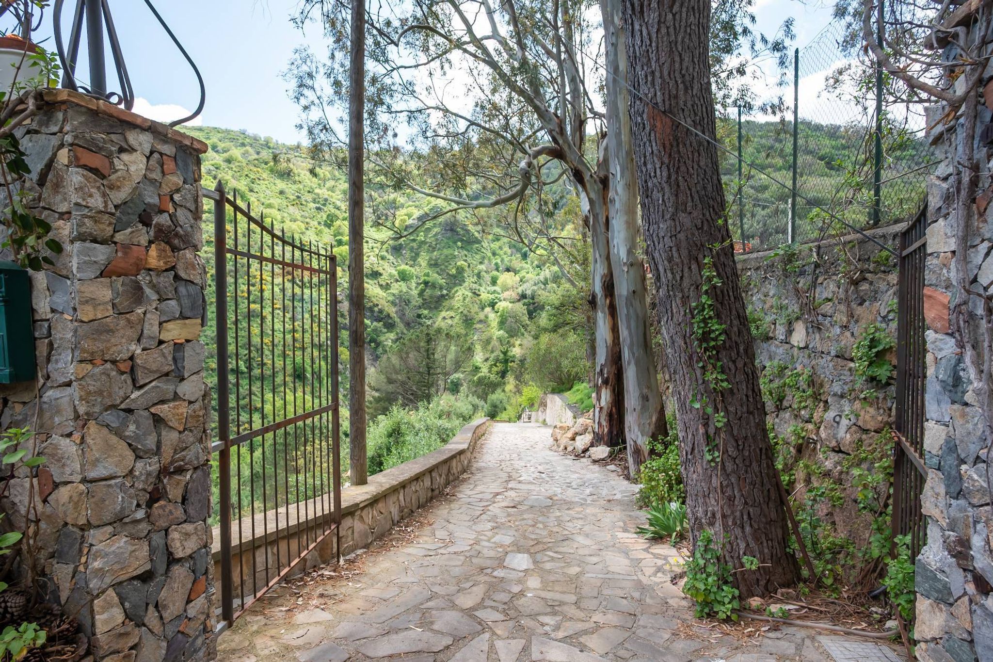 Giardino
