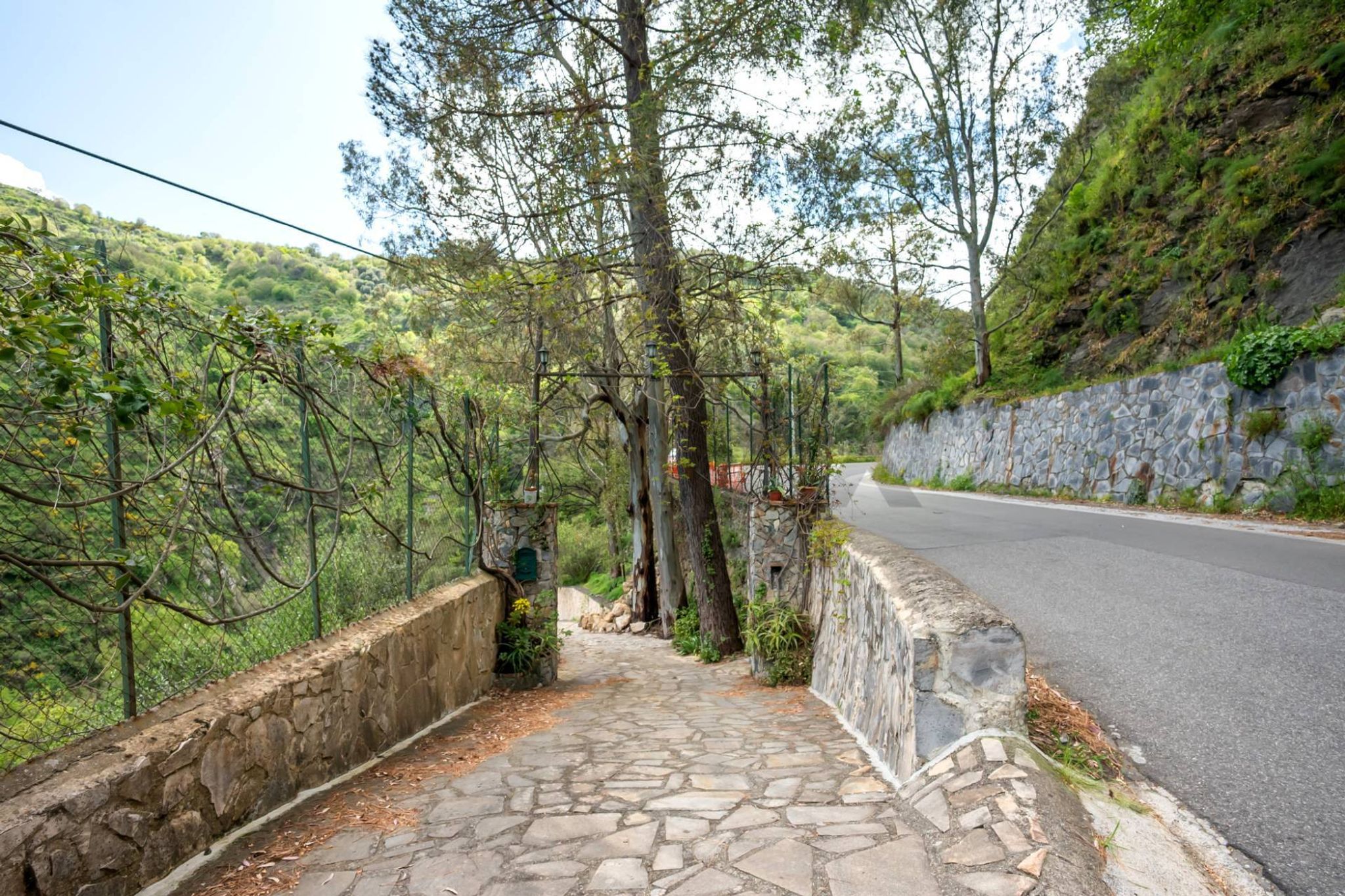 Giardino