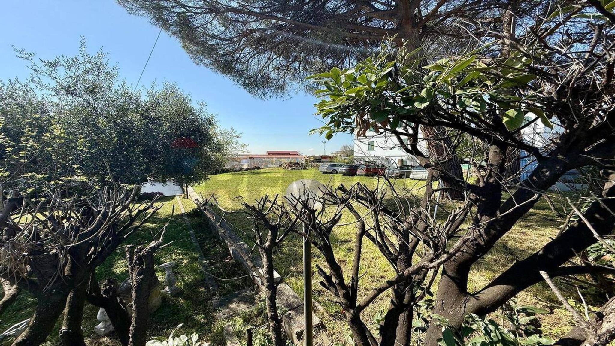 Giardino