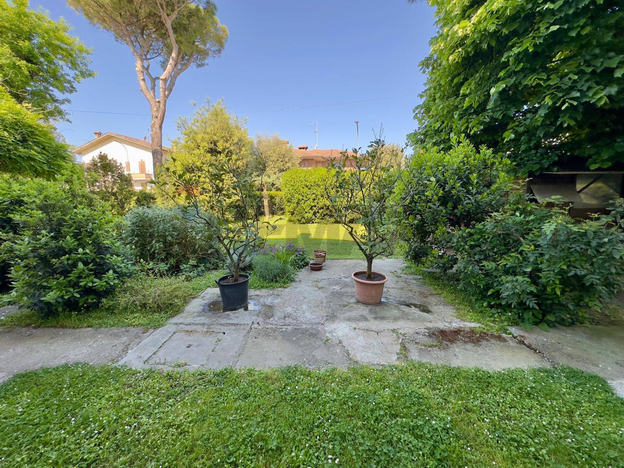 Giardino