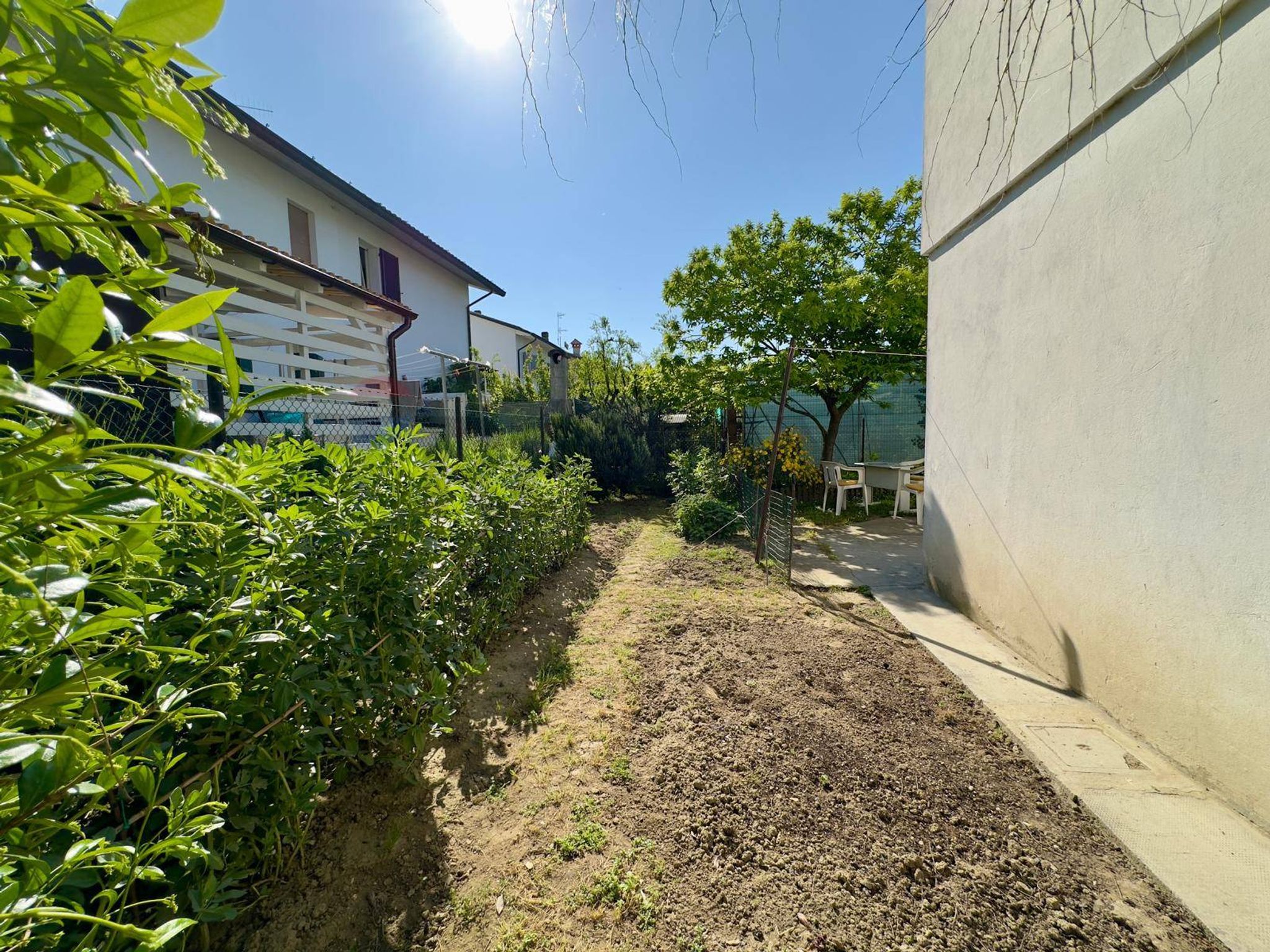Giardino