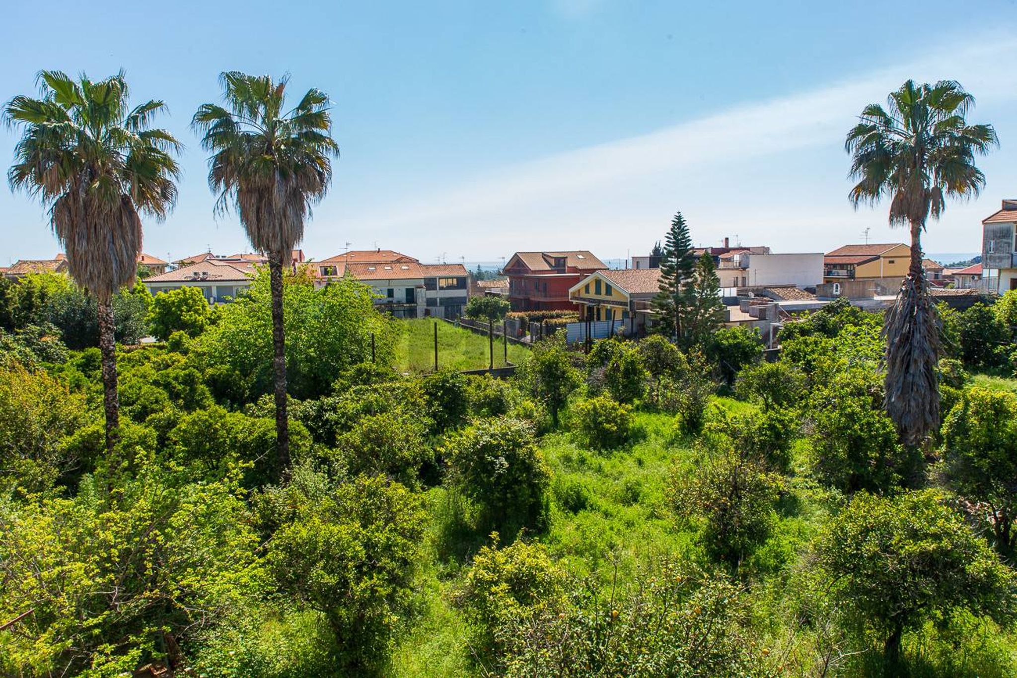 Giardino