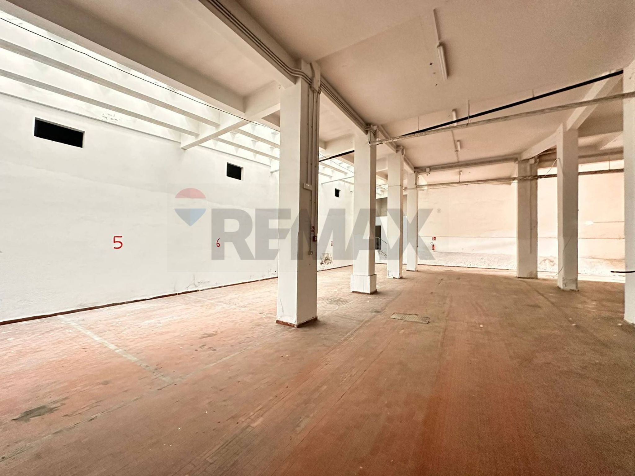 Property in Ancona