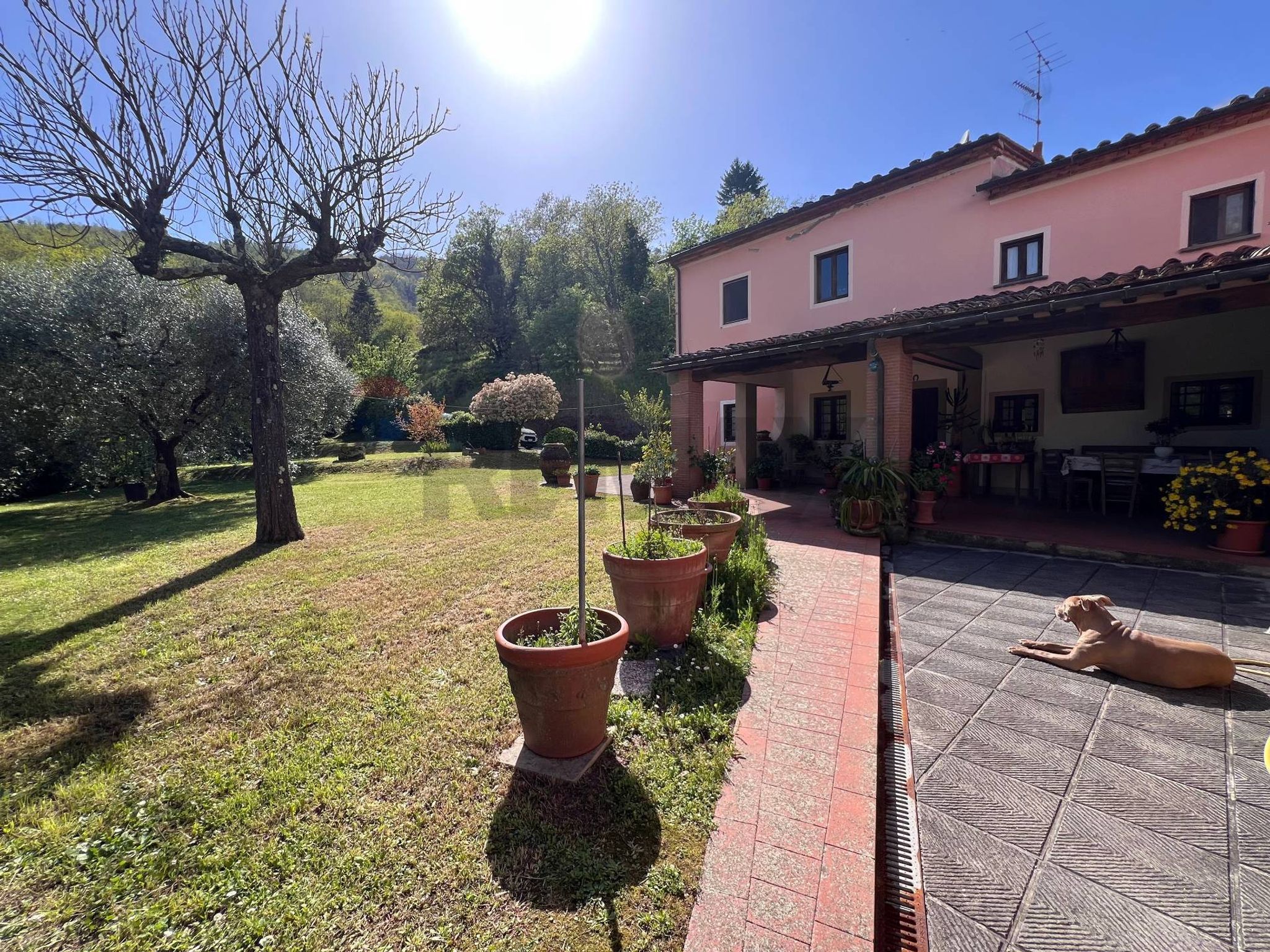 Property in Marliana