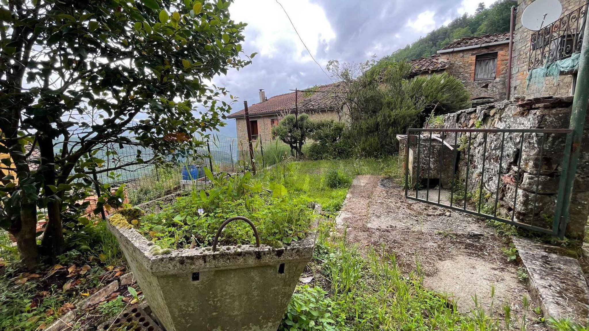 Giardino