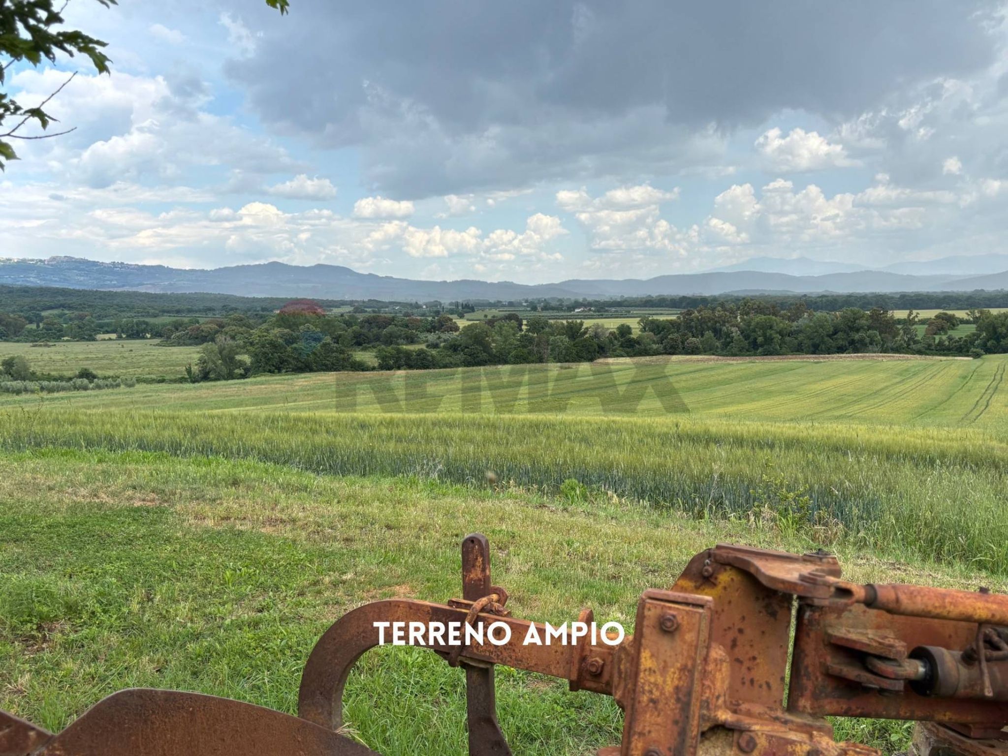 TERRENO