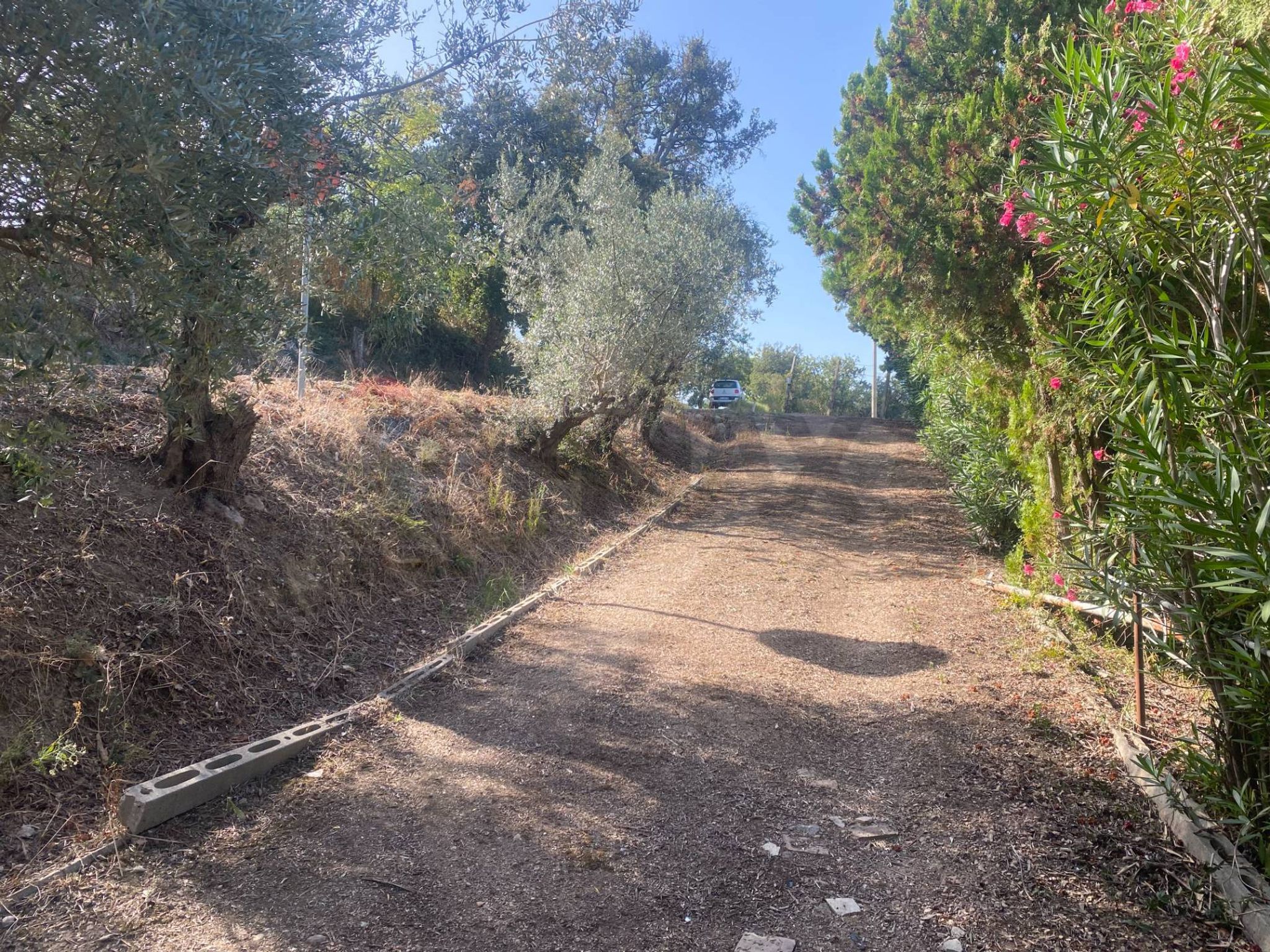 Giardino