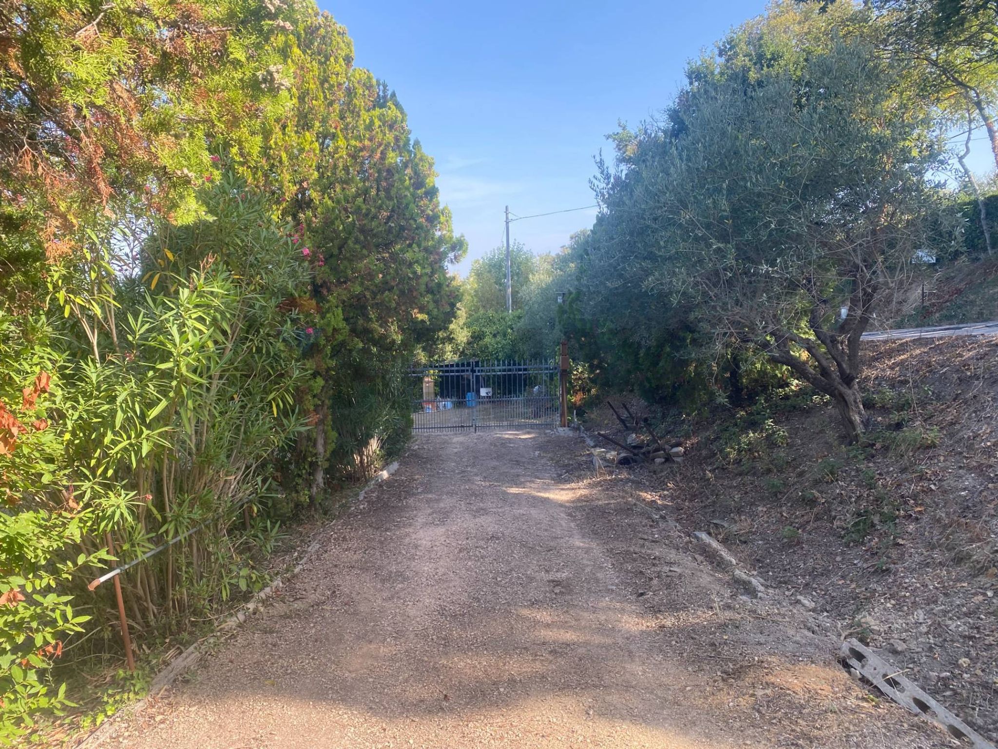 Giardino