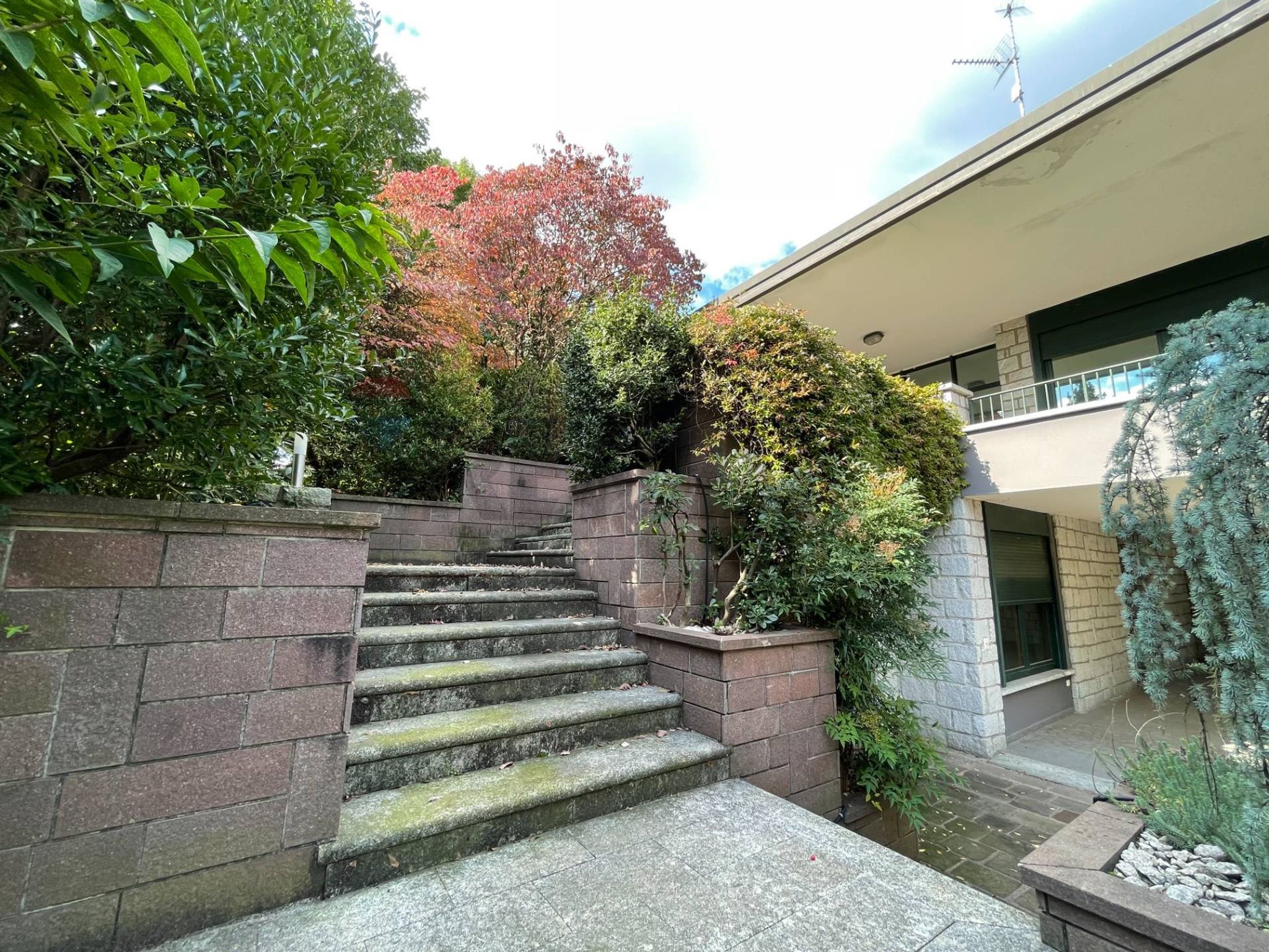 Giardino