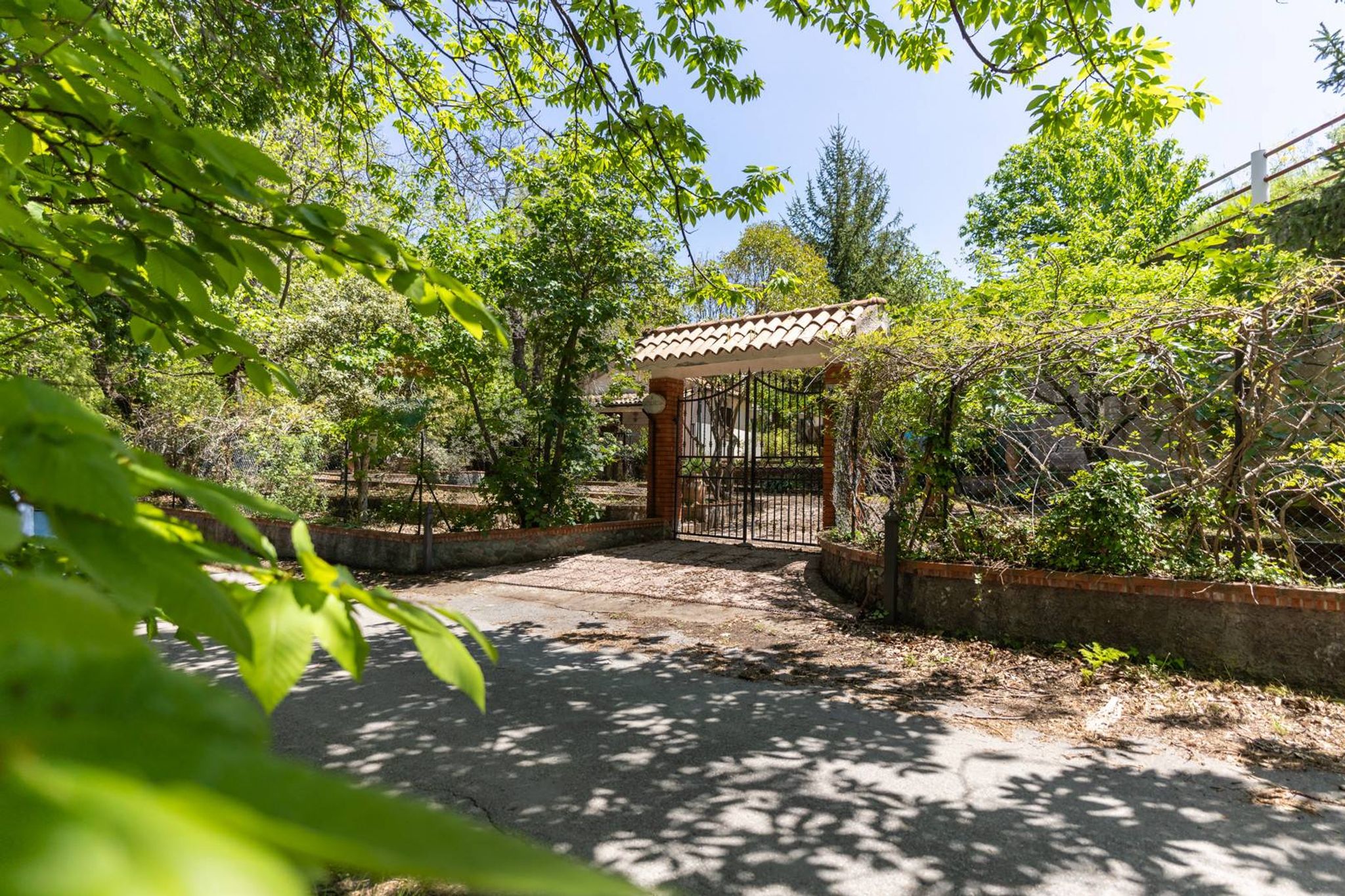 Giardino