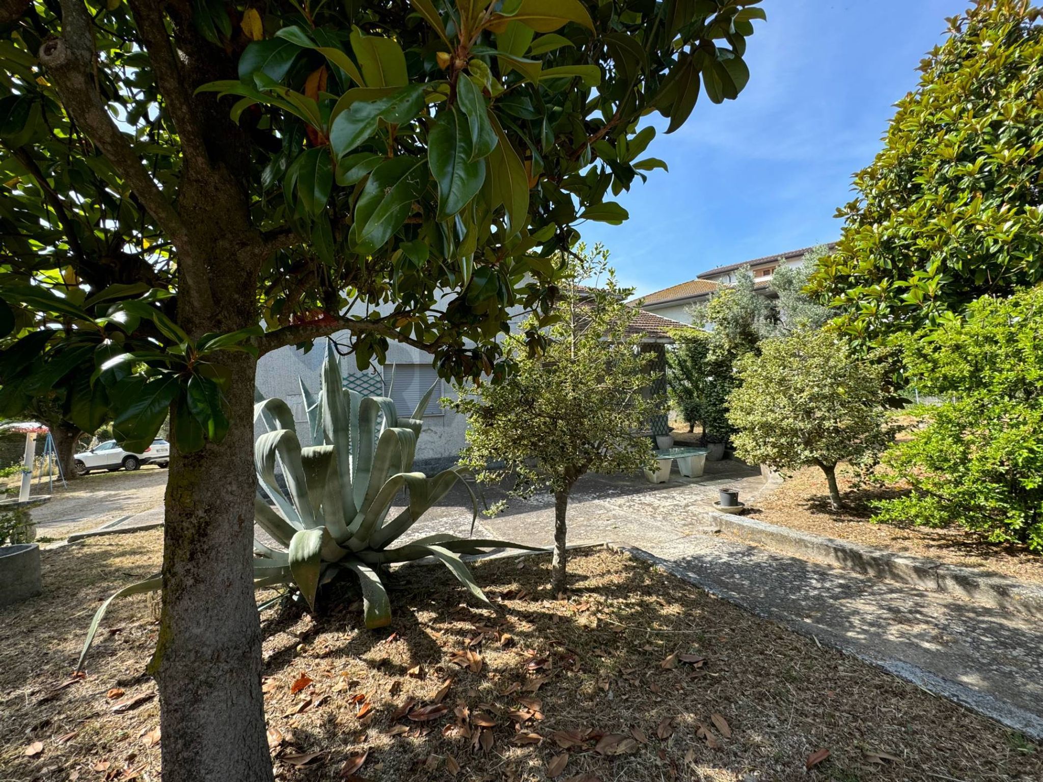 Giardino