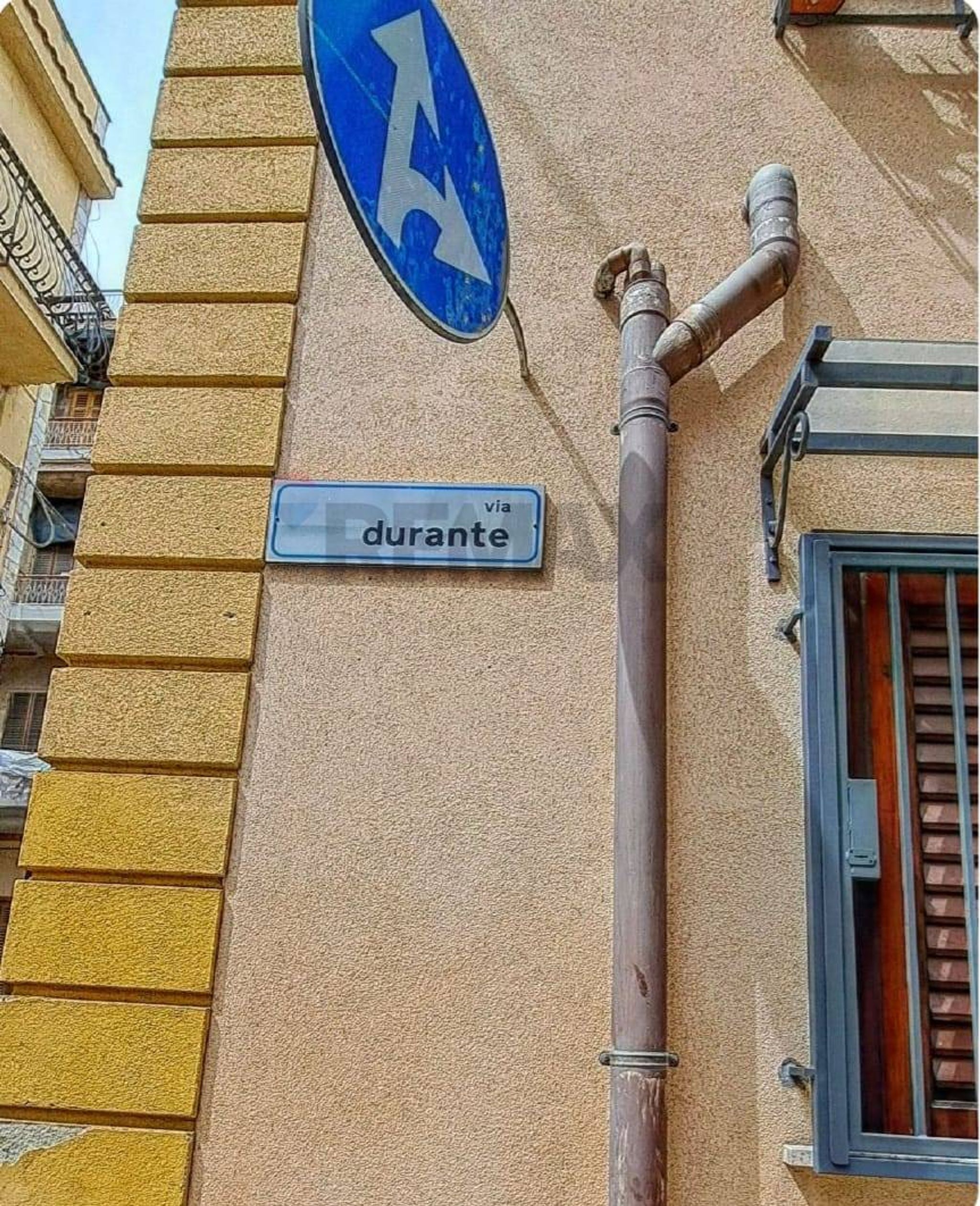 Dettagli