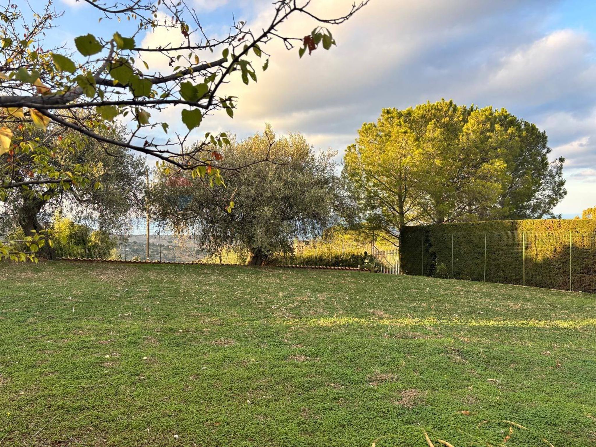 Giardino