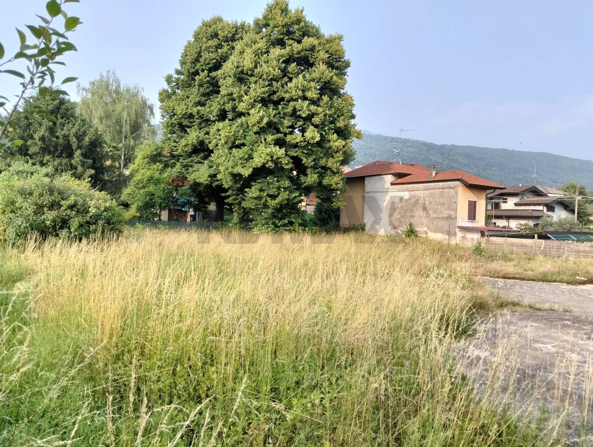 terreno