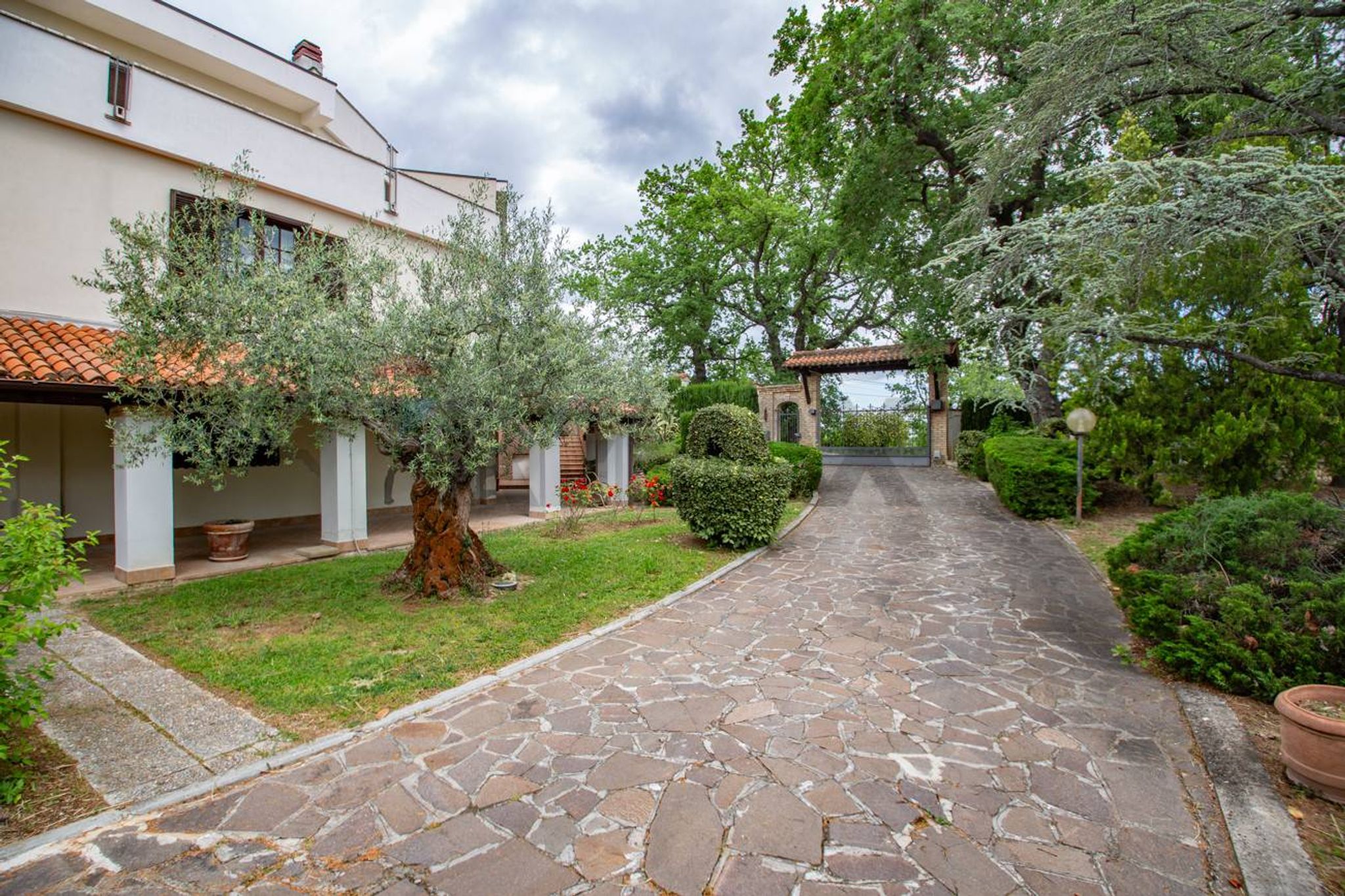 Giardino
