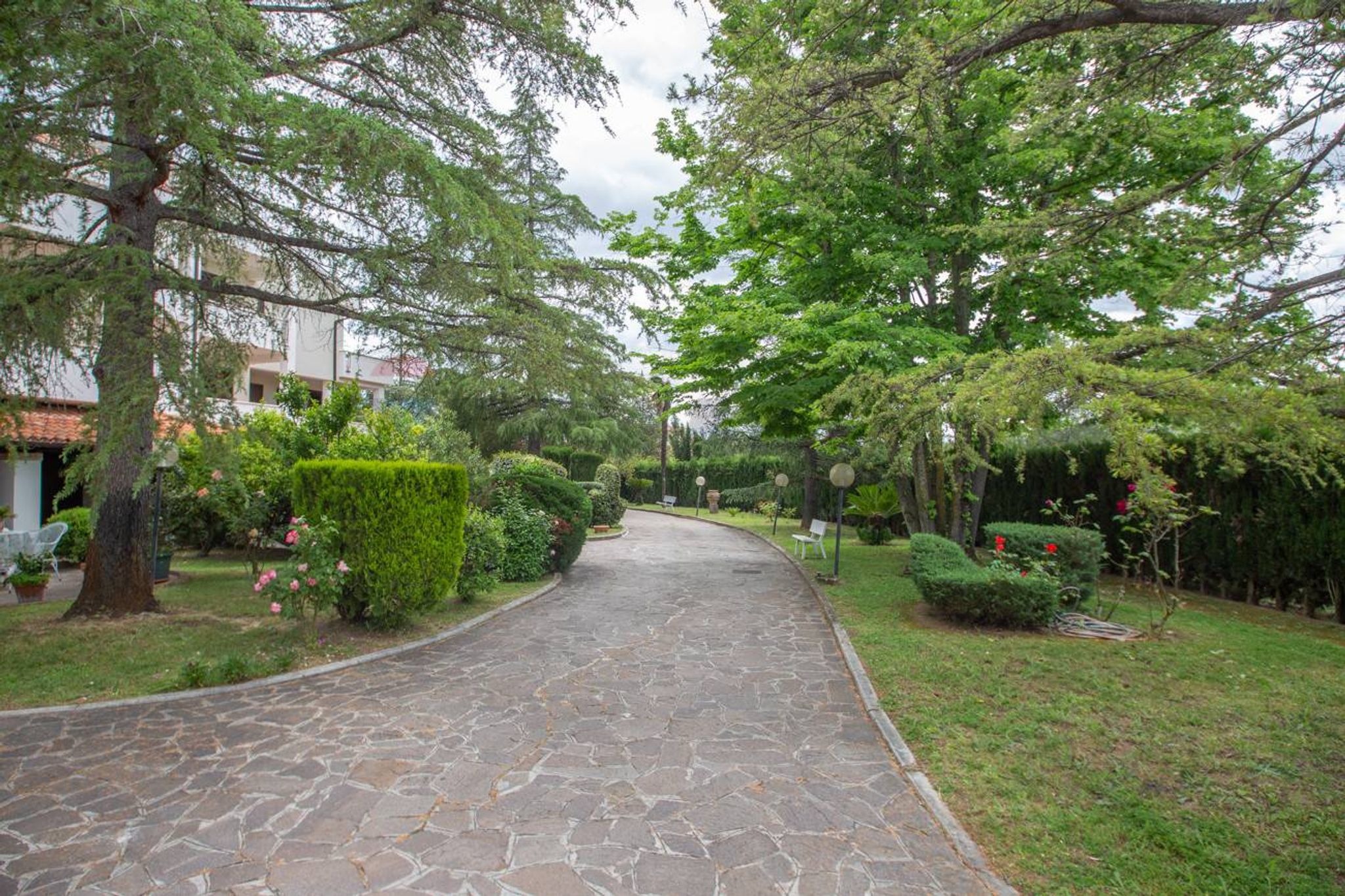 Giardino