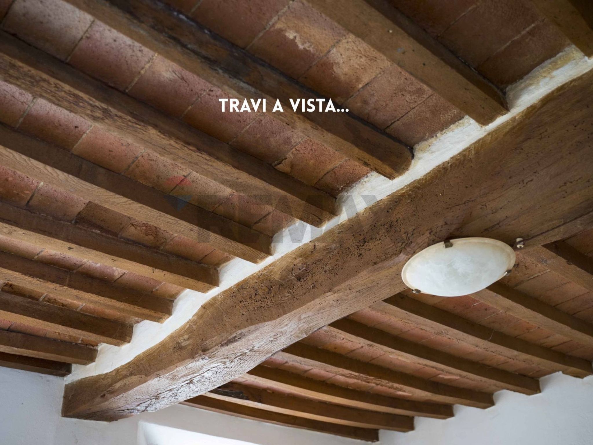 TRAVI A VISTA