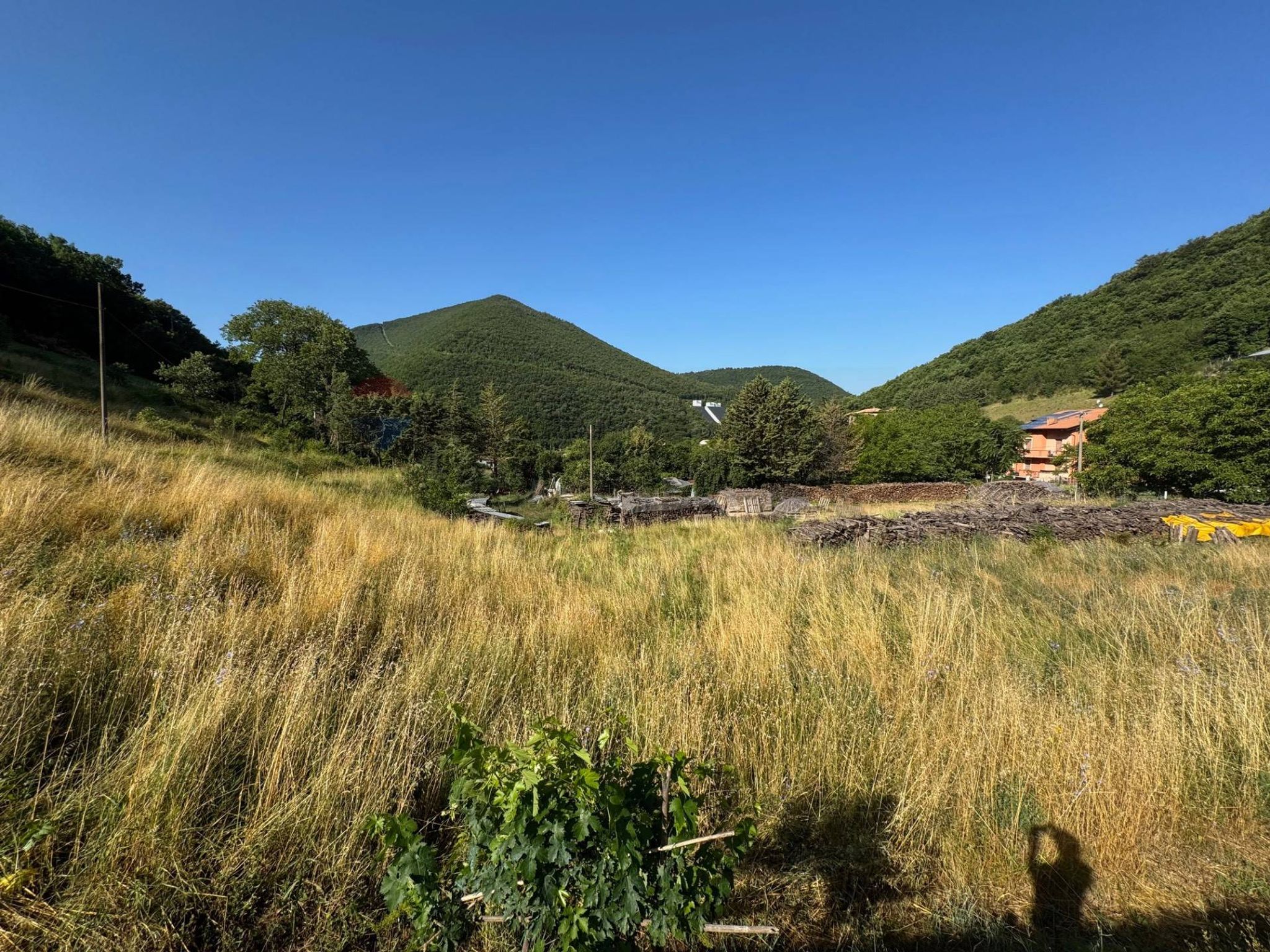Vista delle montagne