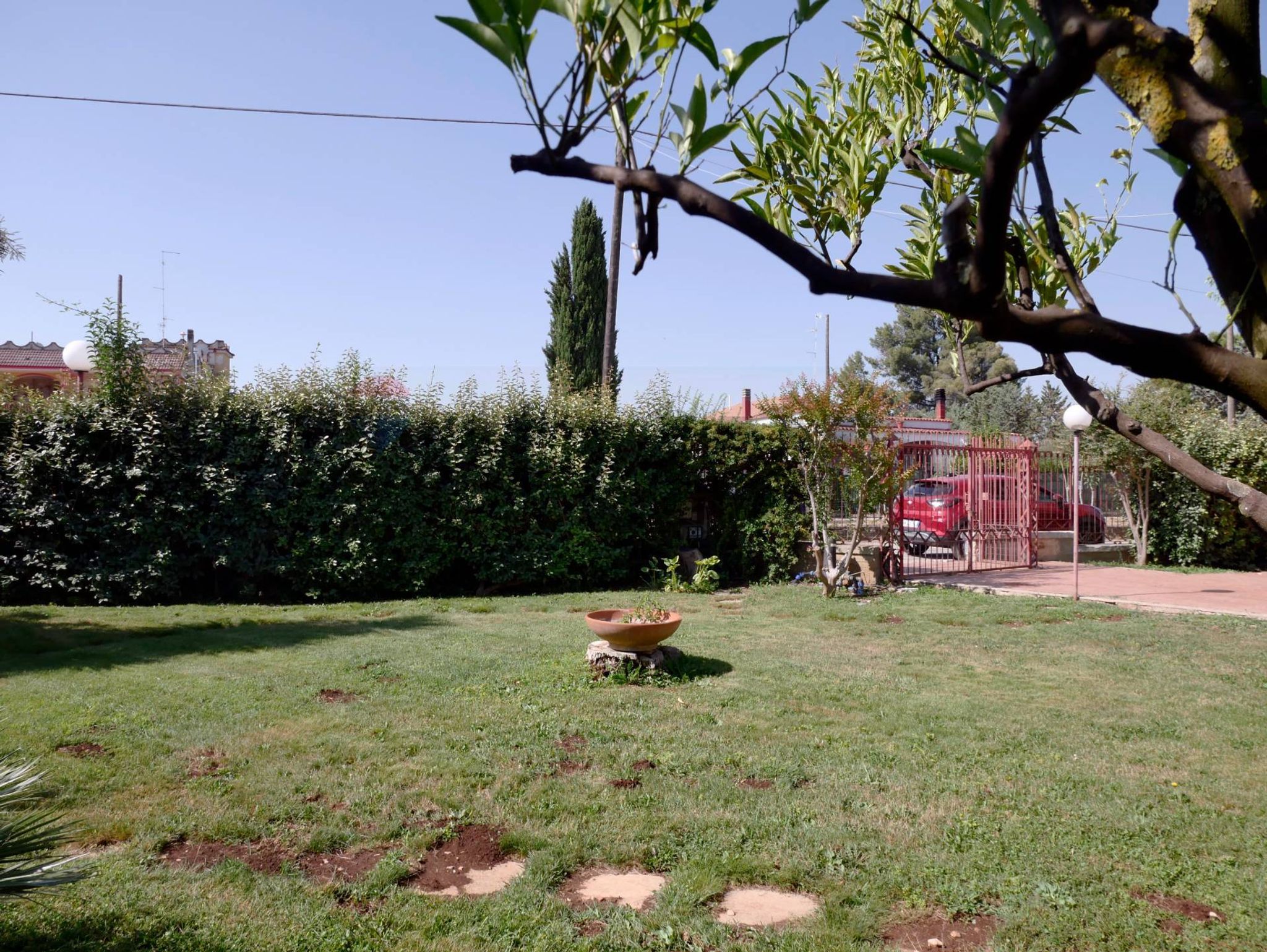 Giardino