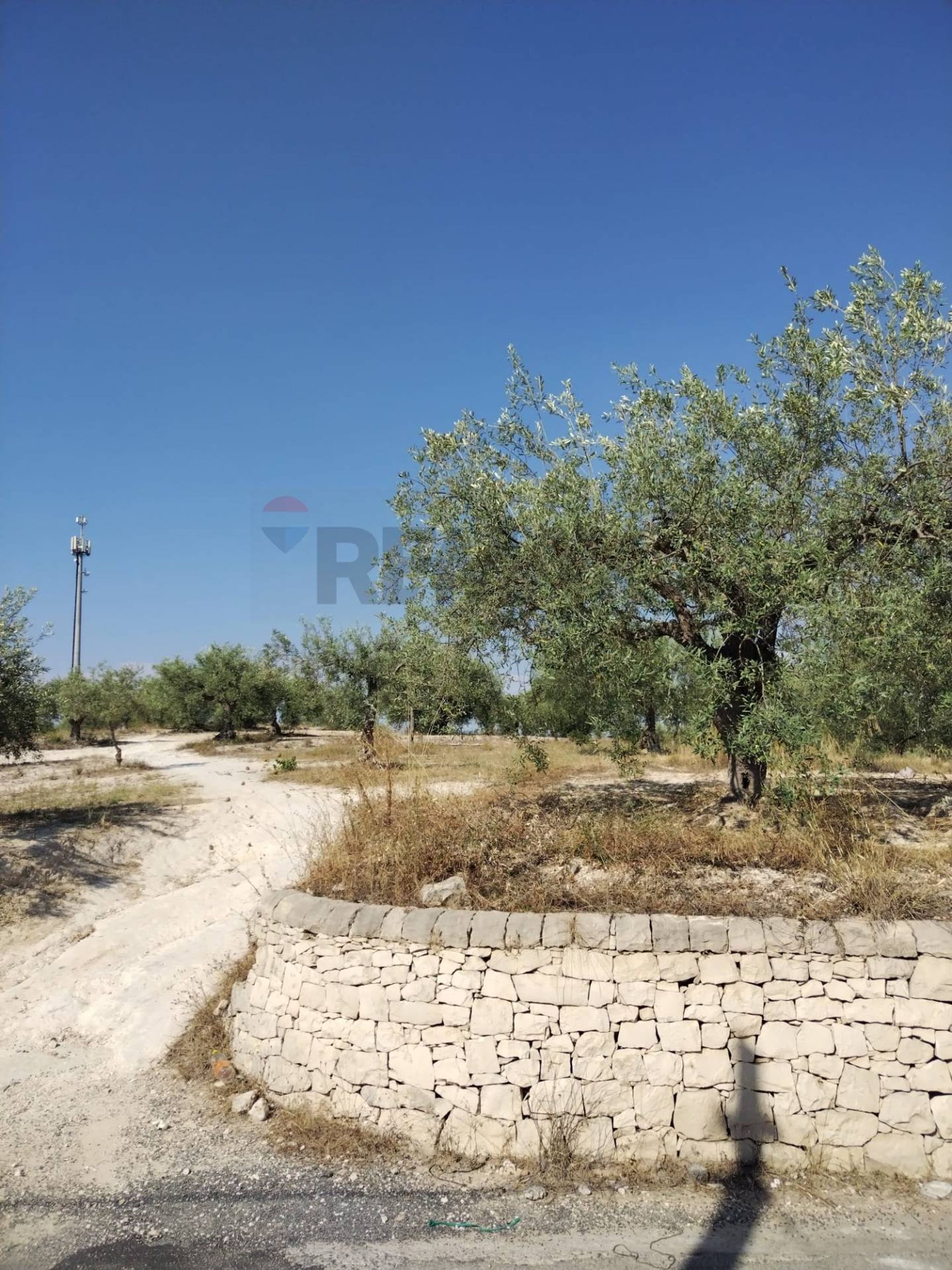 Property in Mazzarrone