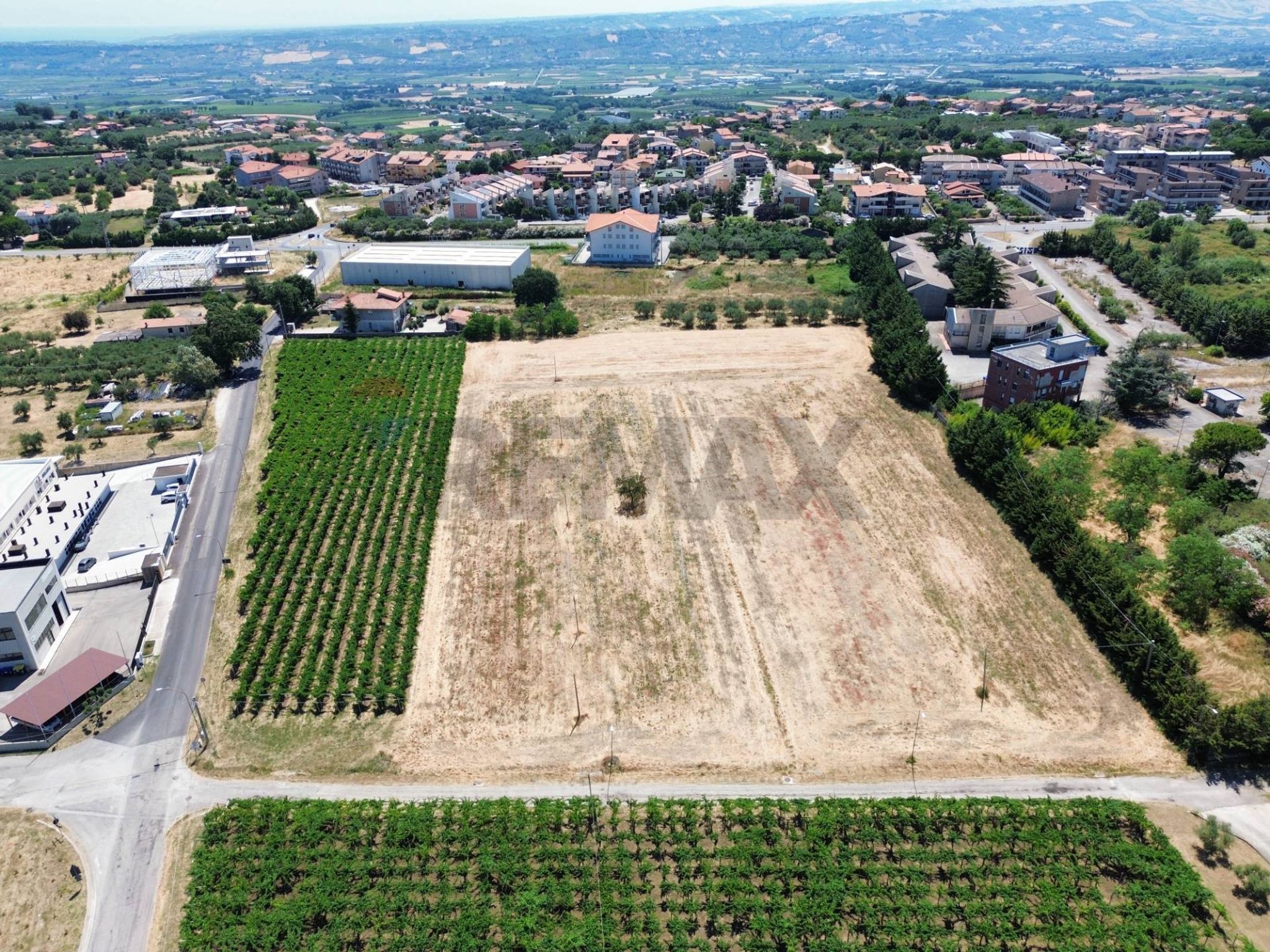 Vista delle montagne