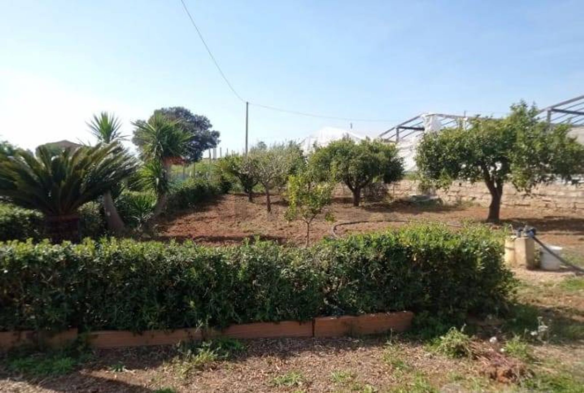 Giardino