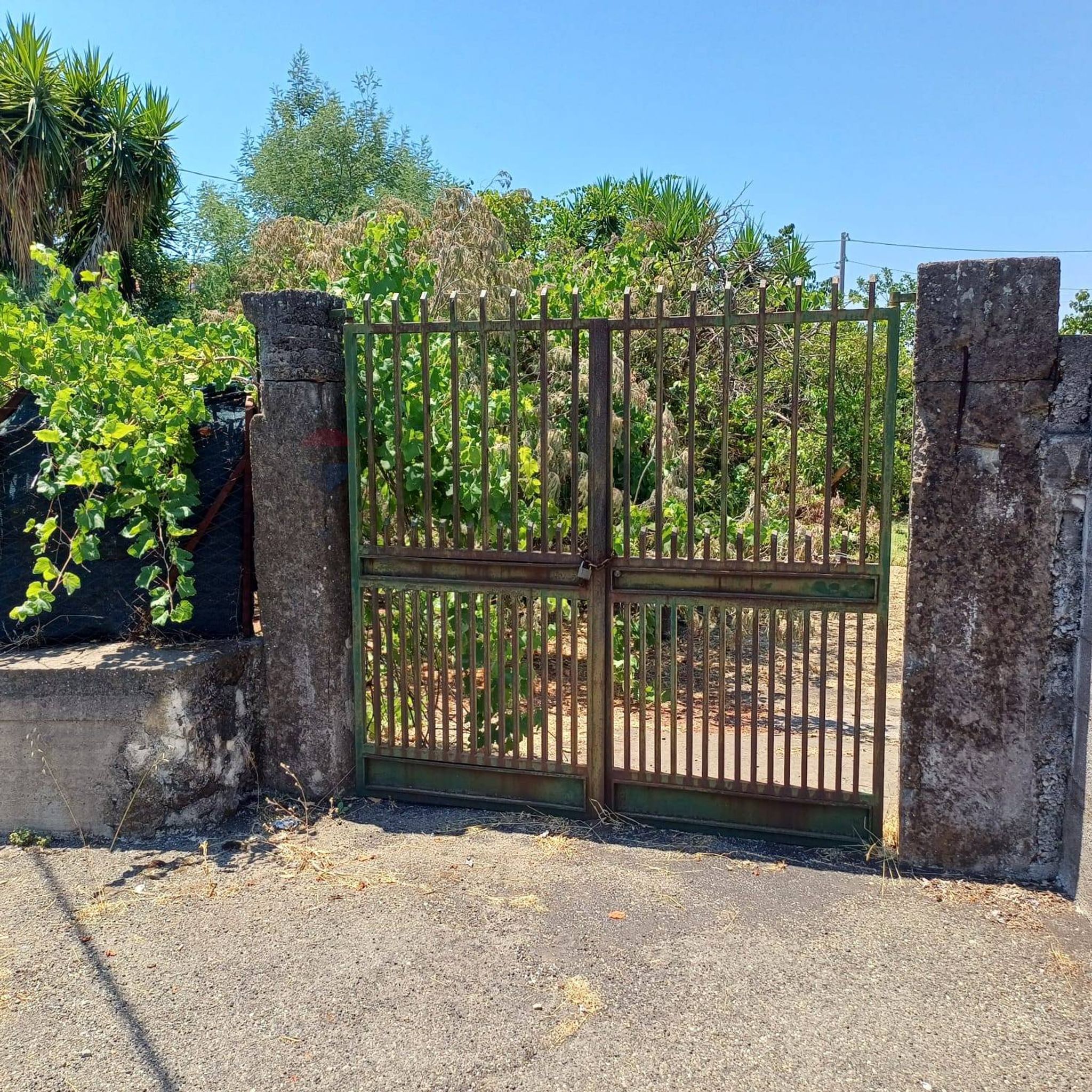 Ingresso carraio