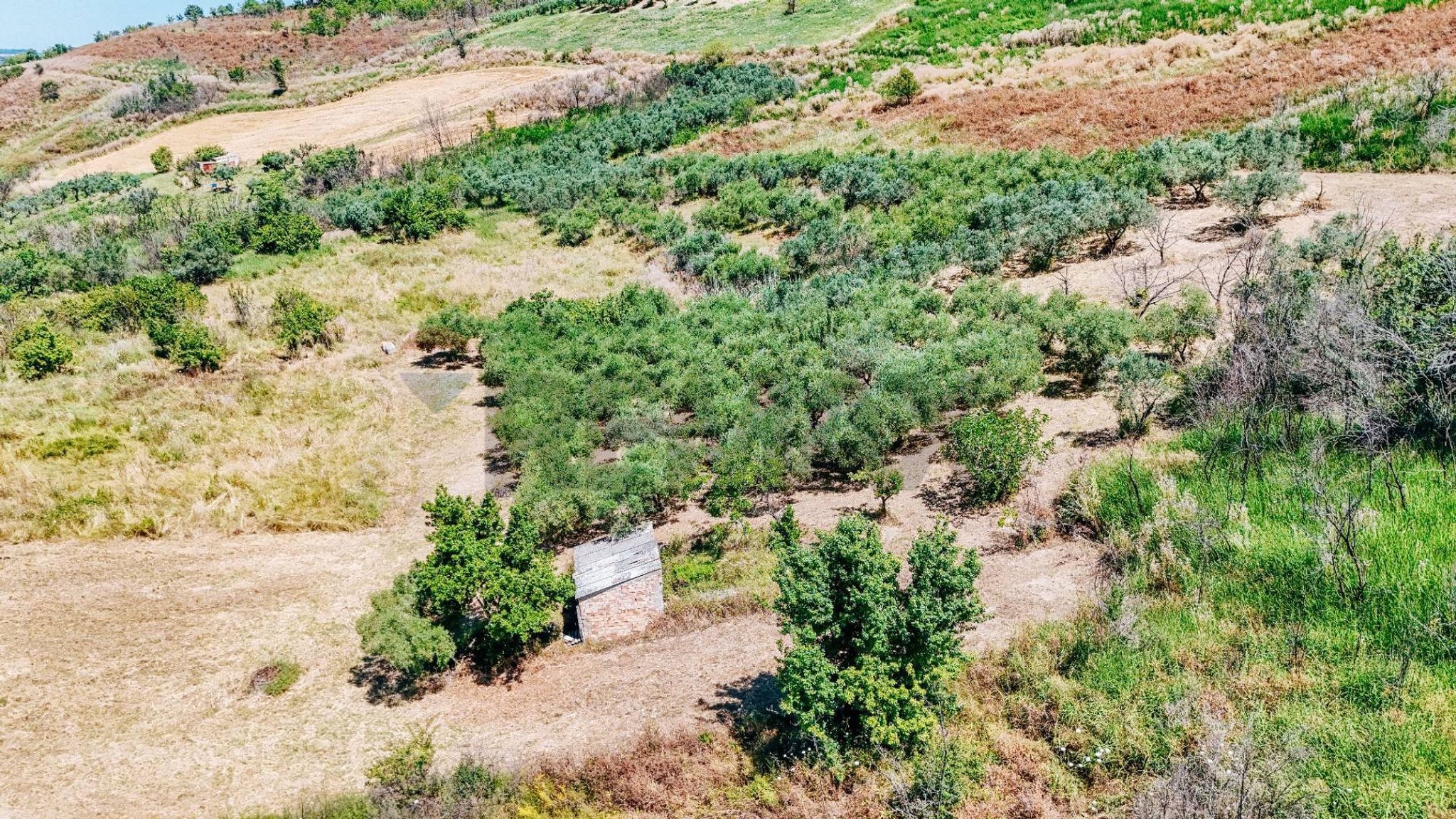 Vista delle montagne