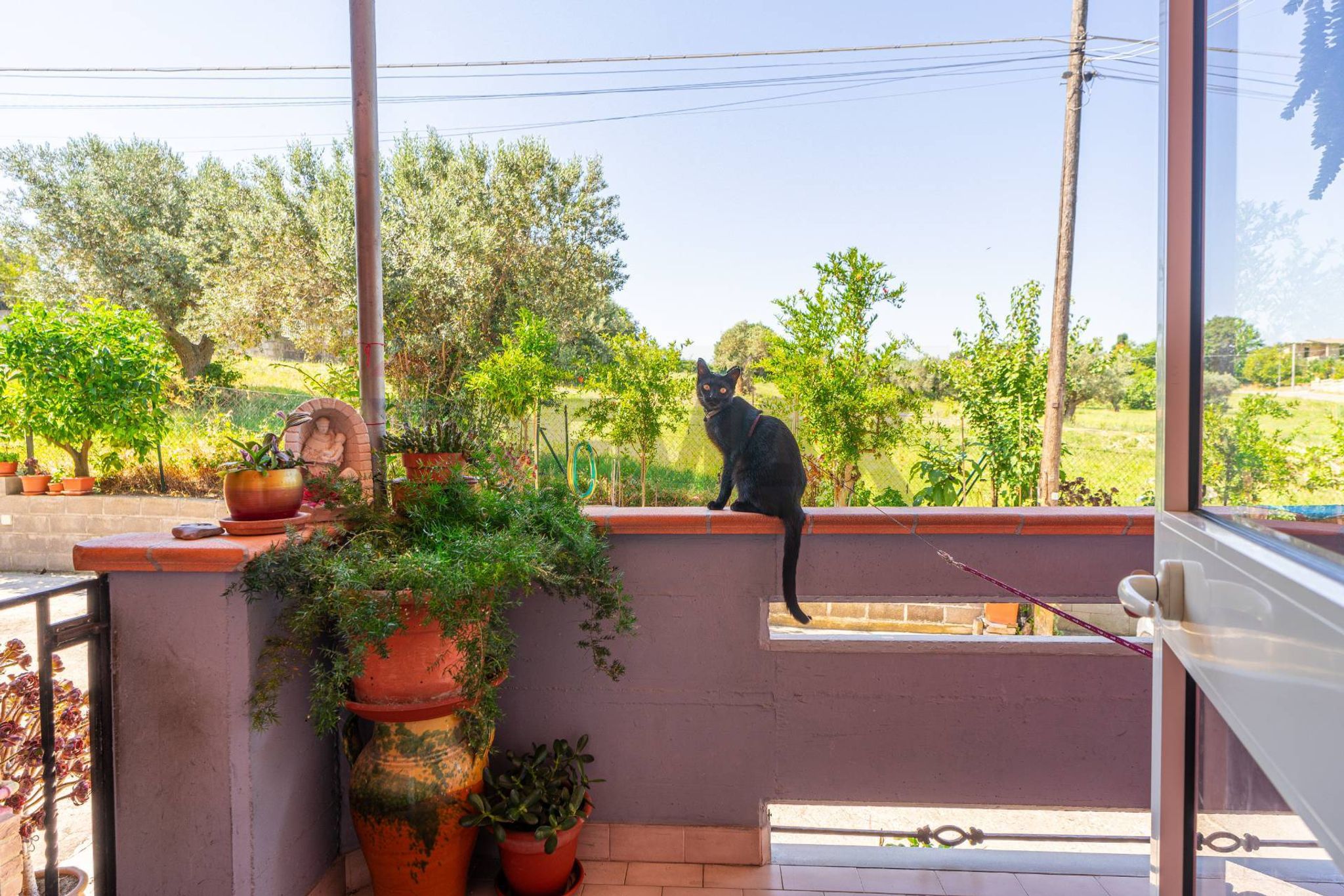 Terrazza