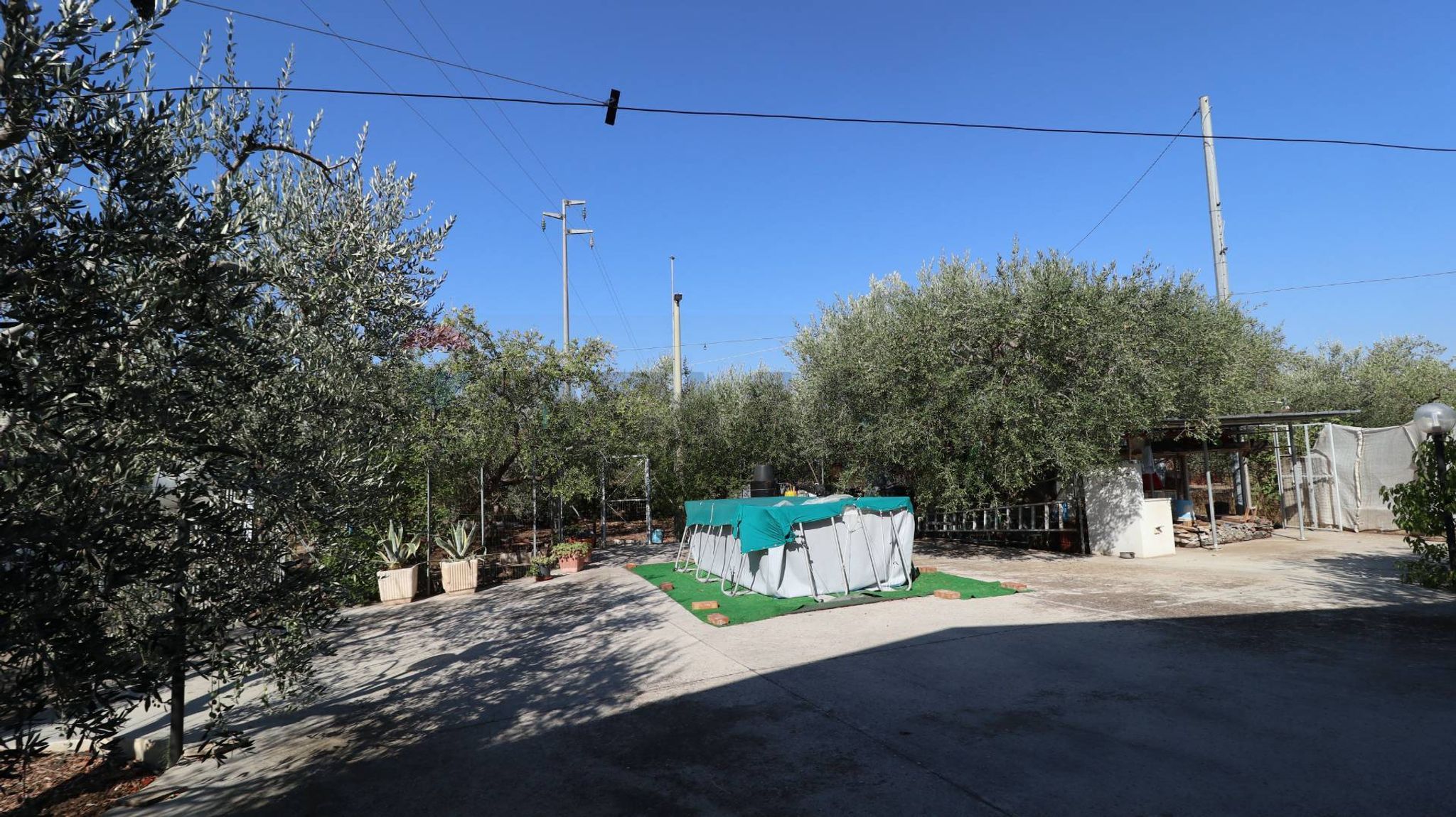 Giardino