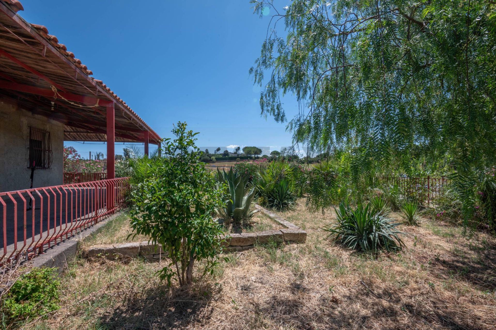 Giardino