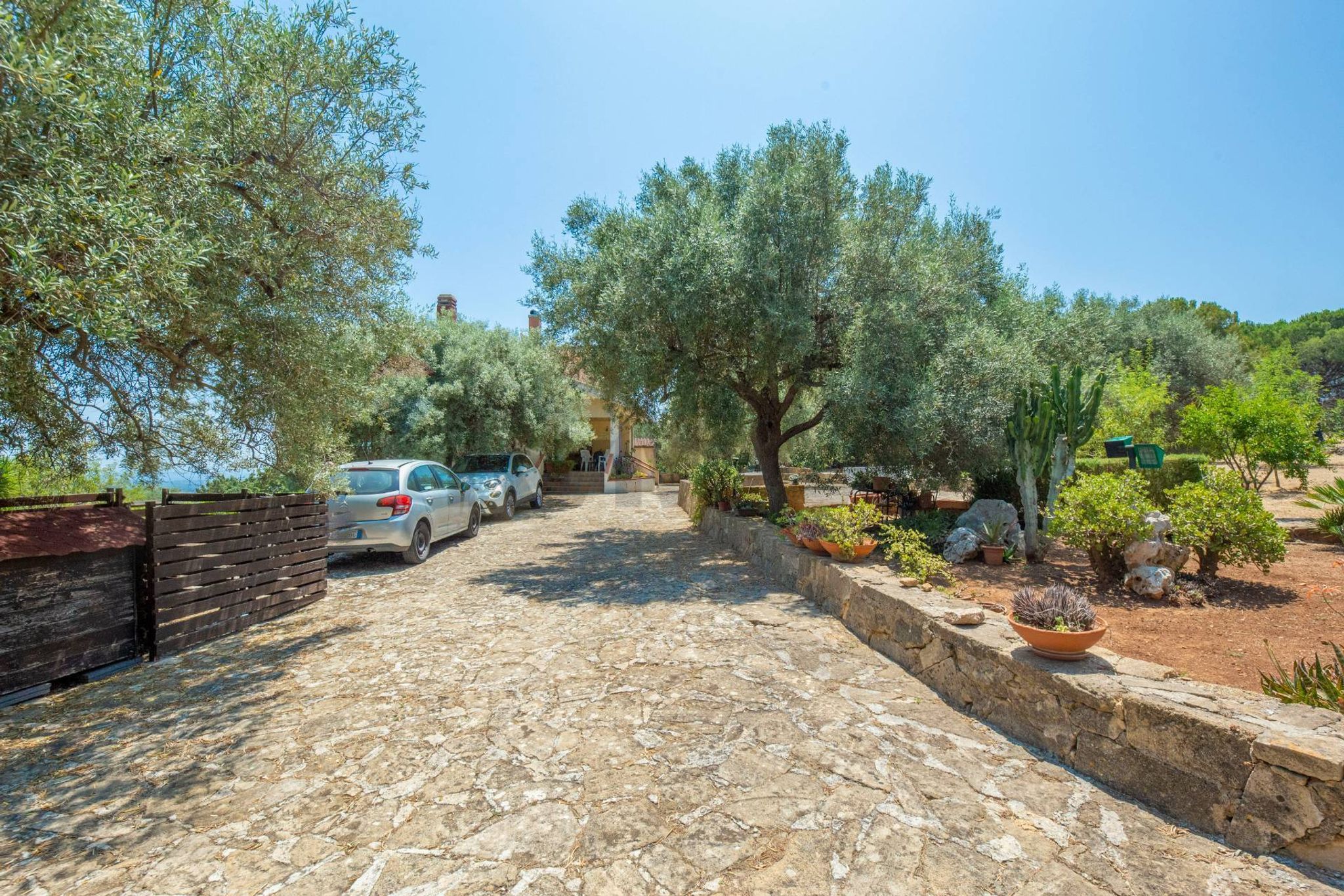 Giardino