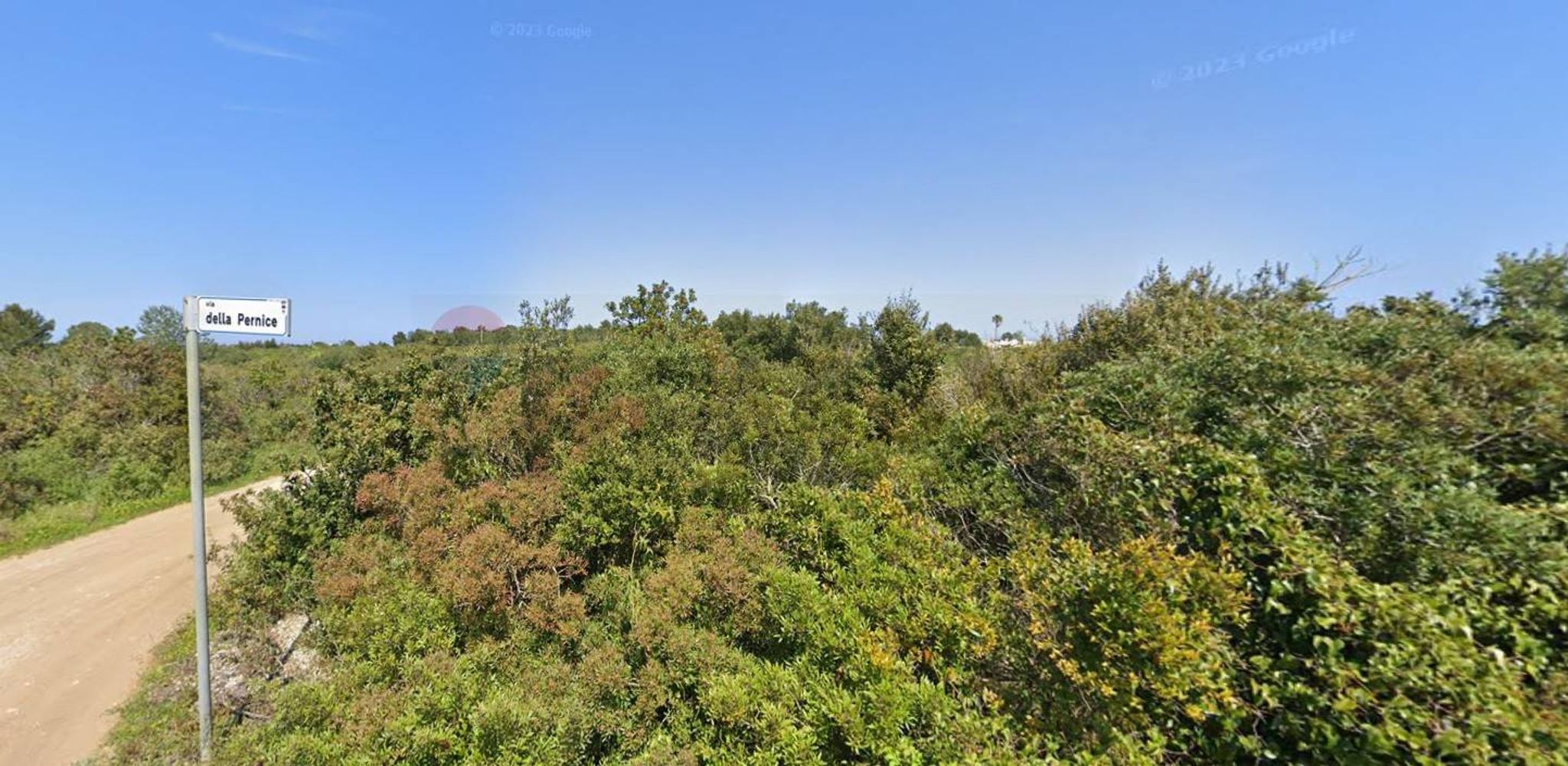 Vista delle montagne