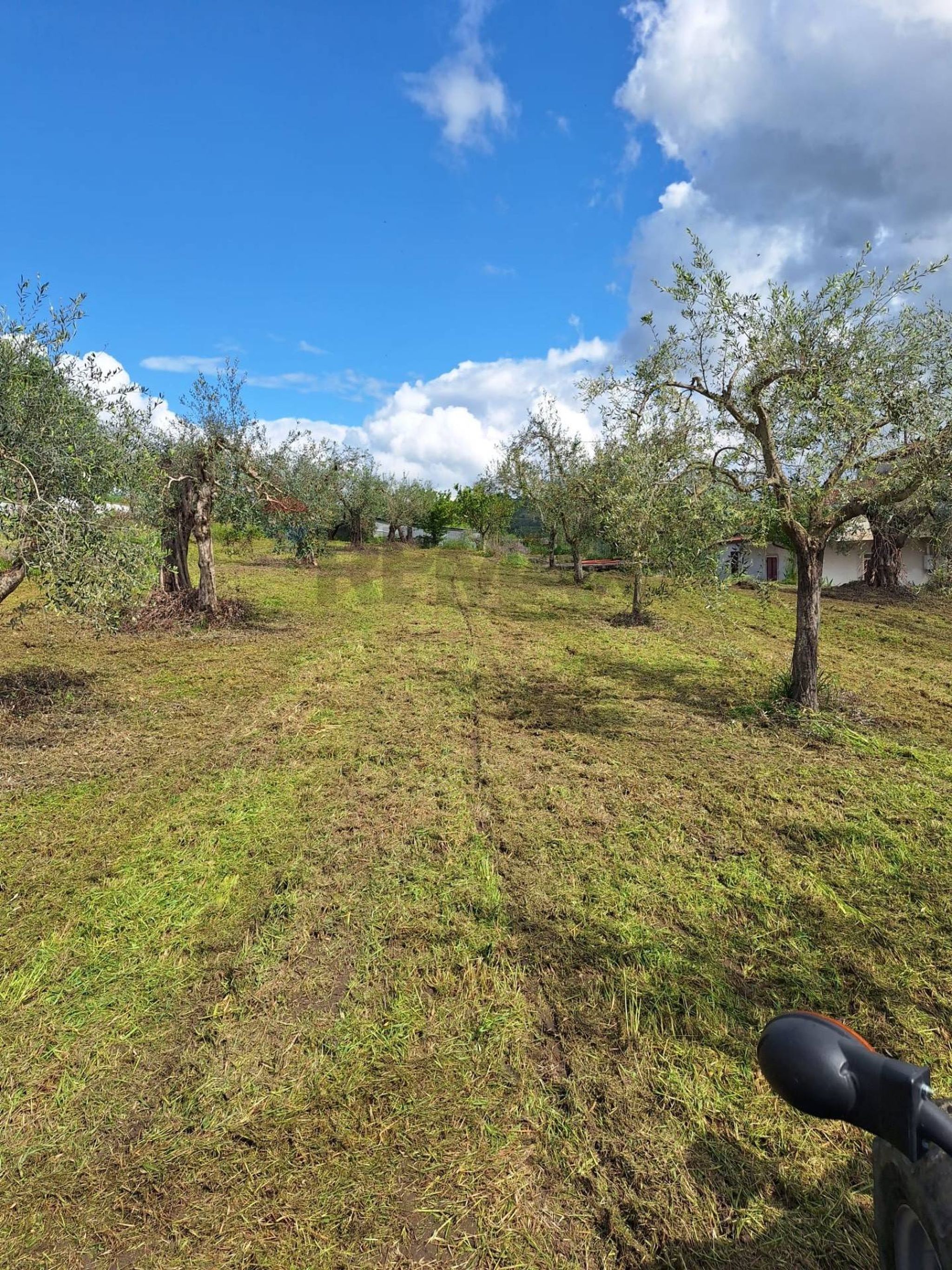 Immobile a Castel Campagnano