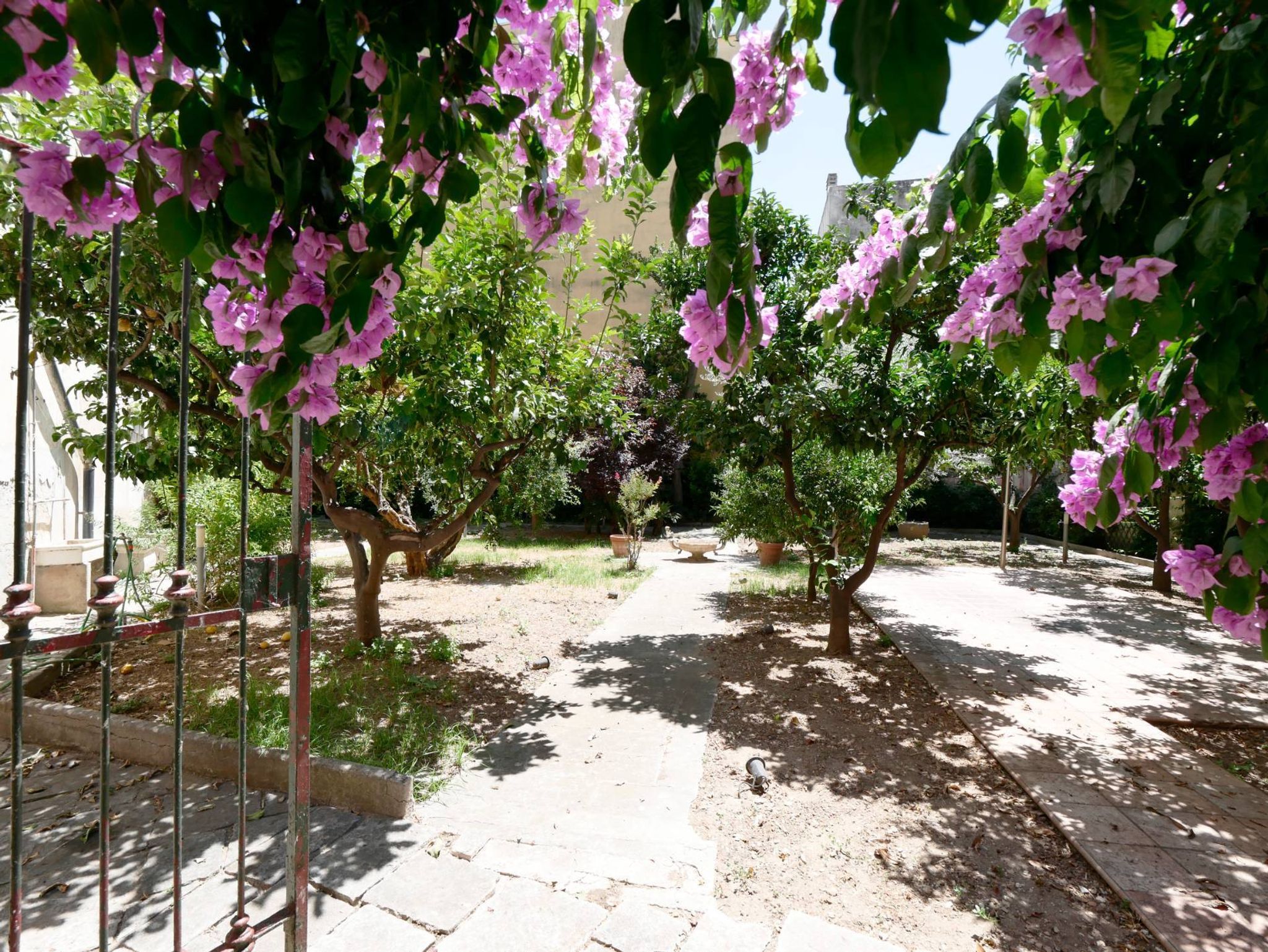 Giardino