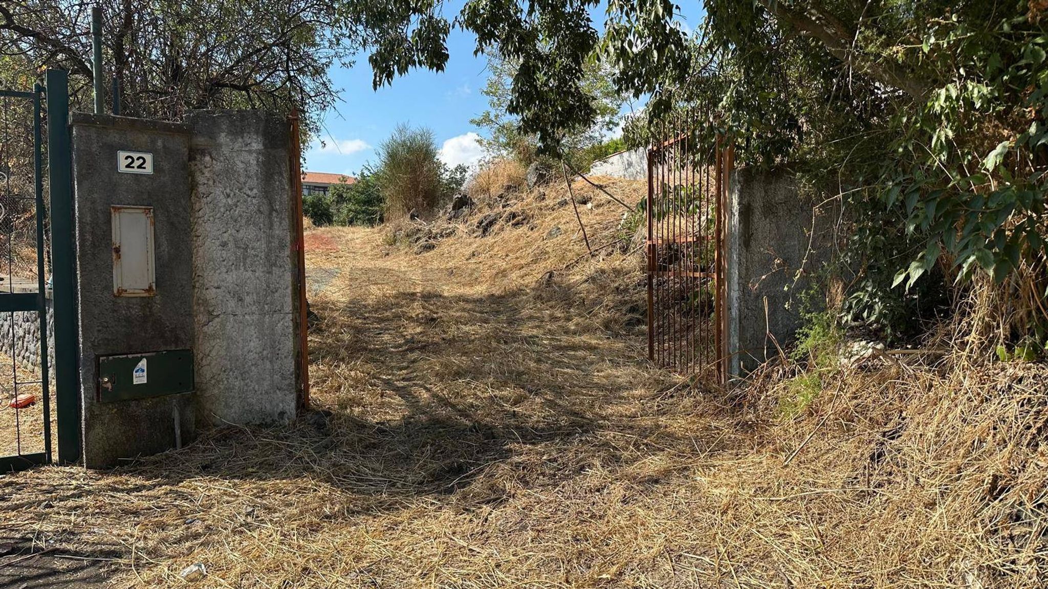 Giardino