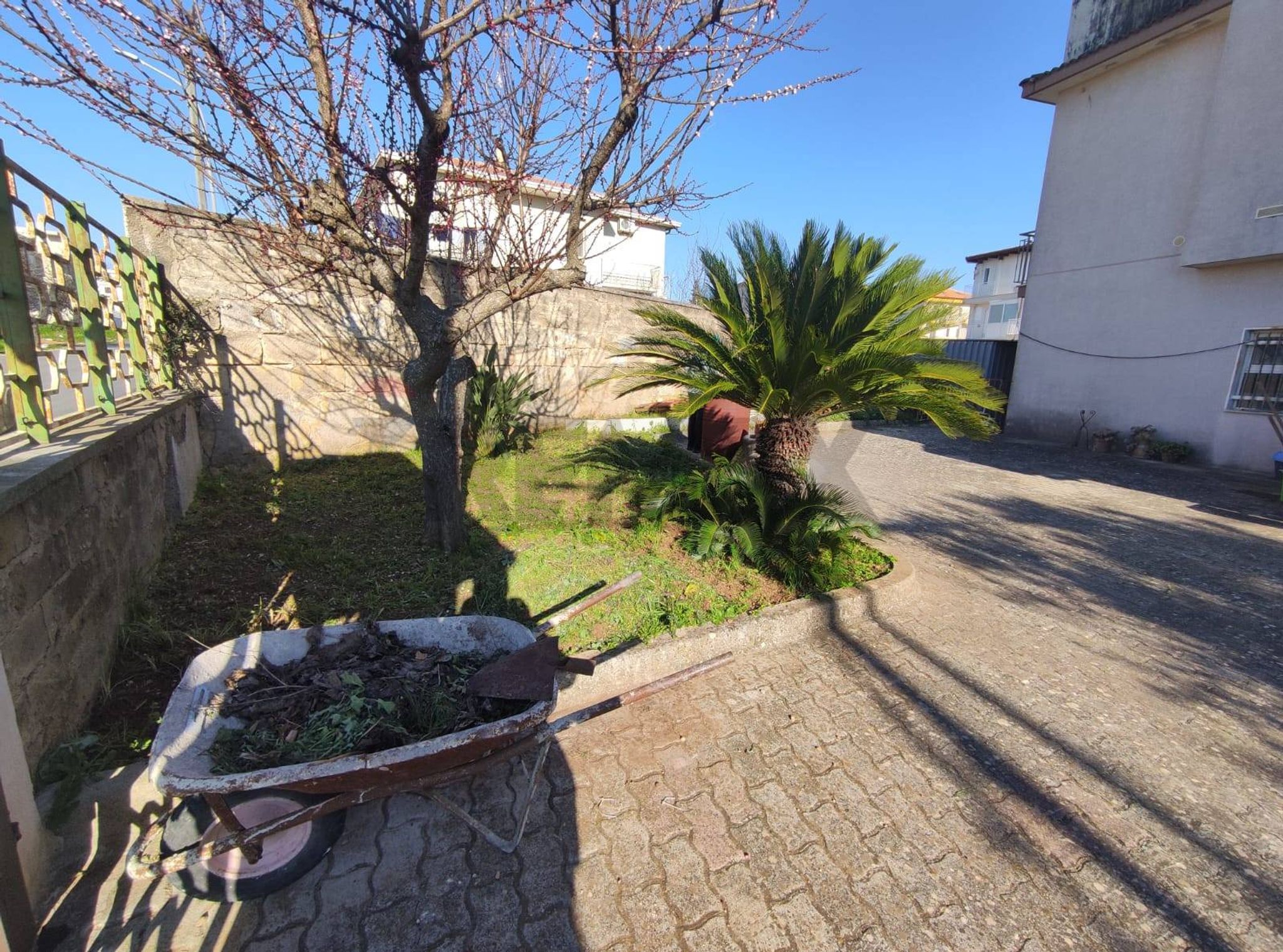 Giardino