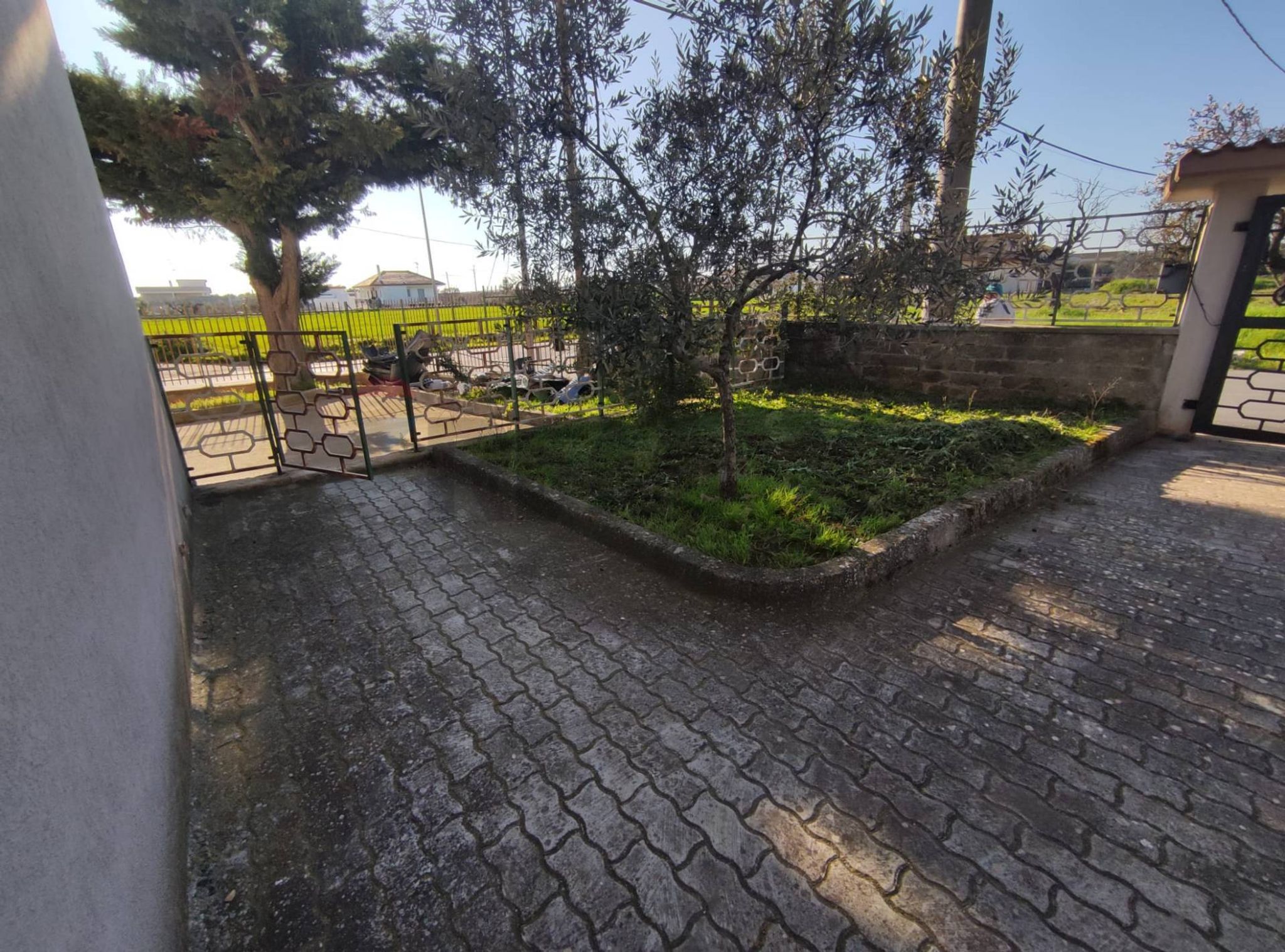 Giardino