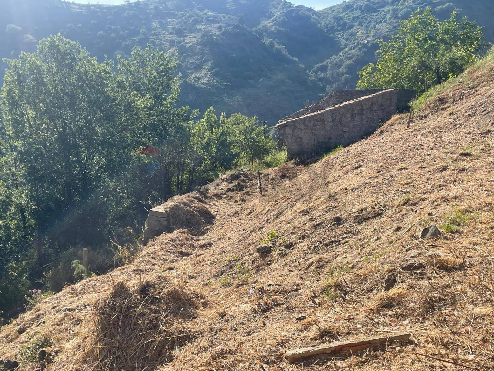 Vista delle montagne