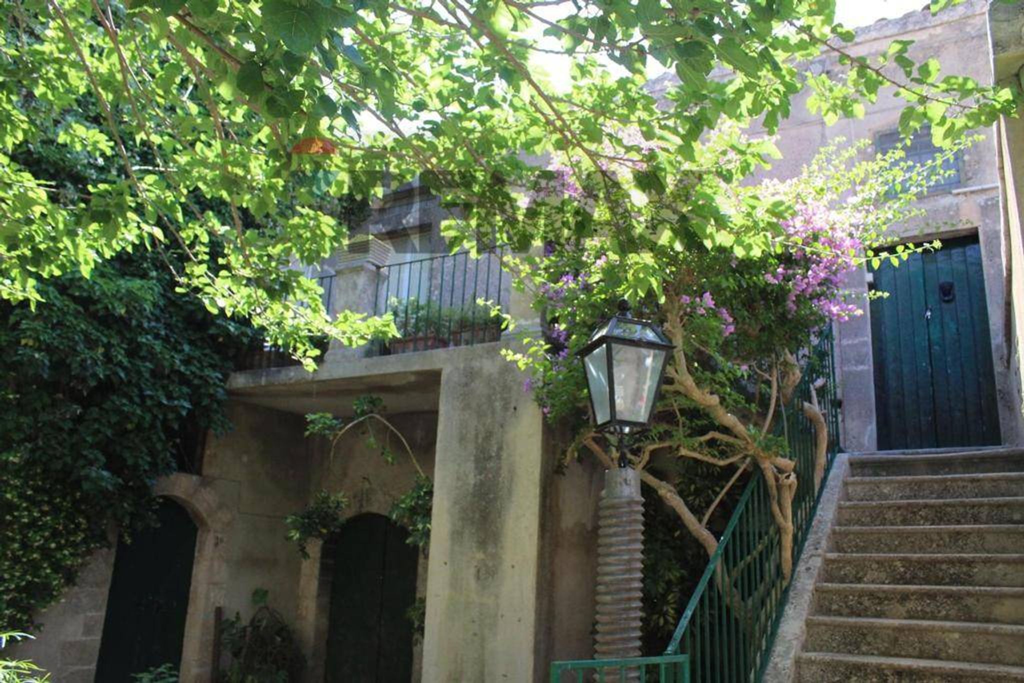 Giardino