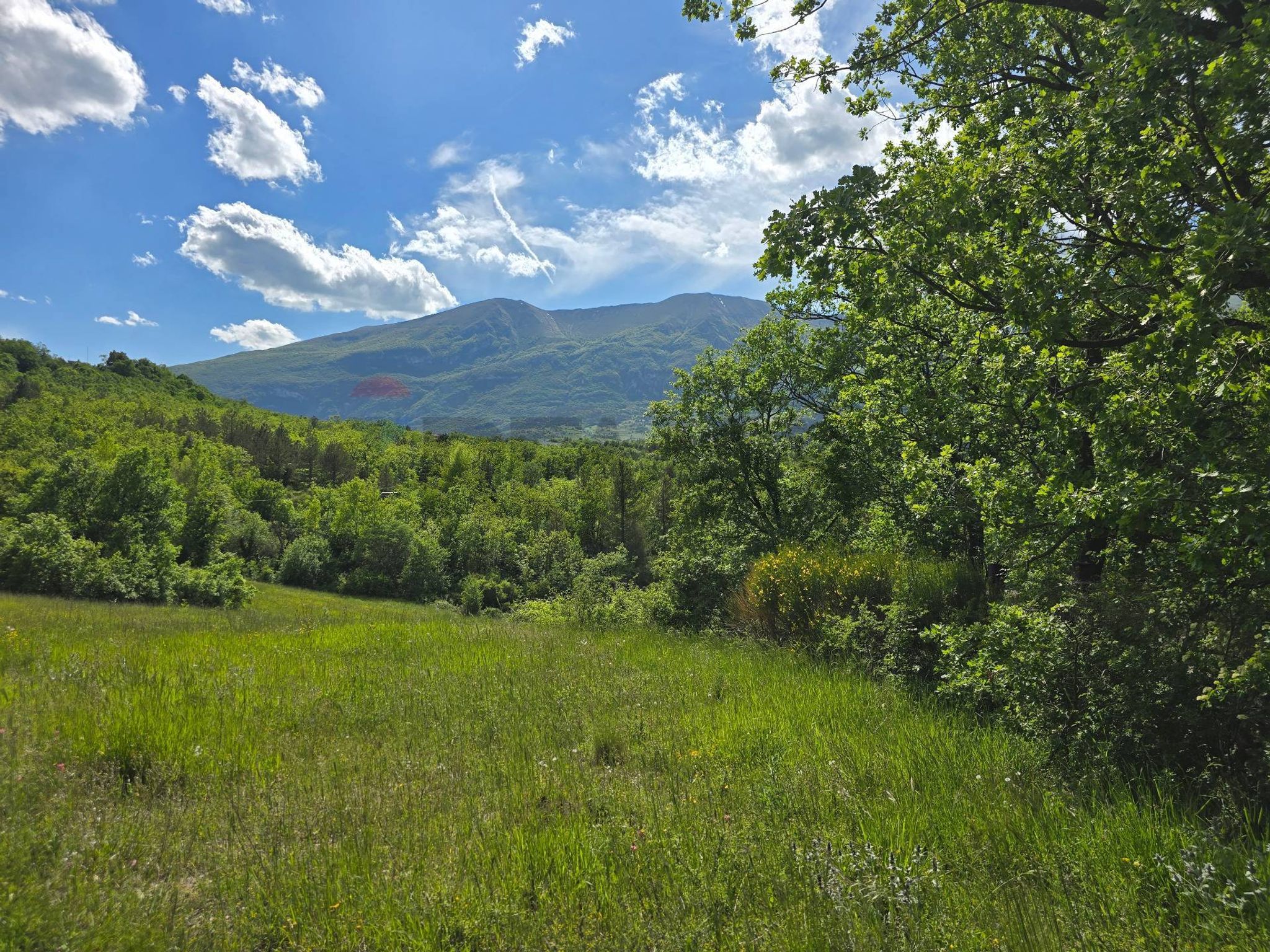 Vista delle montagne