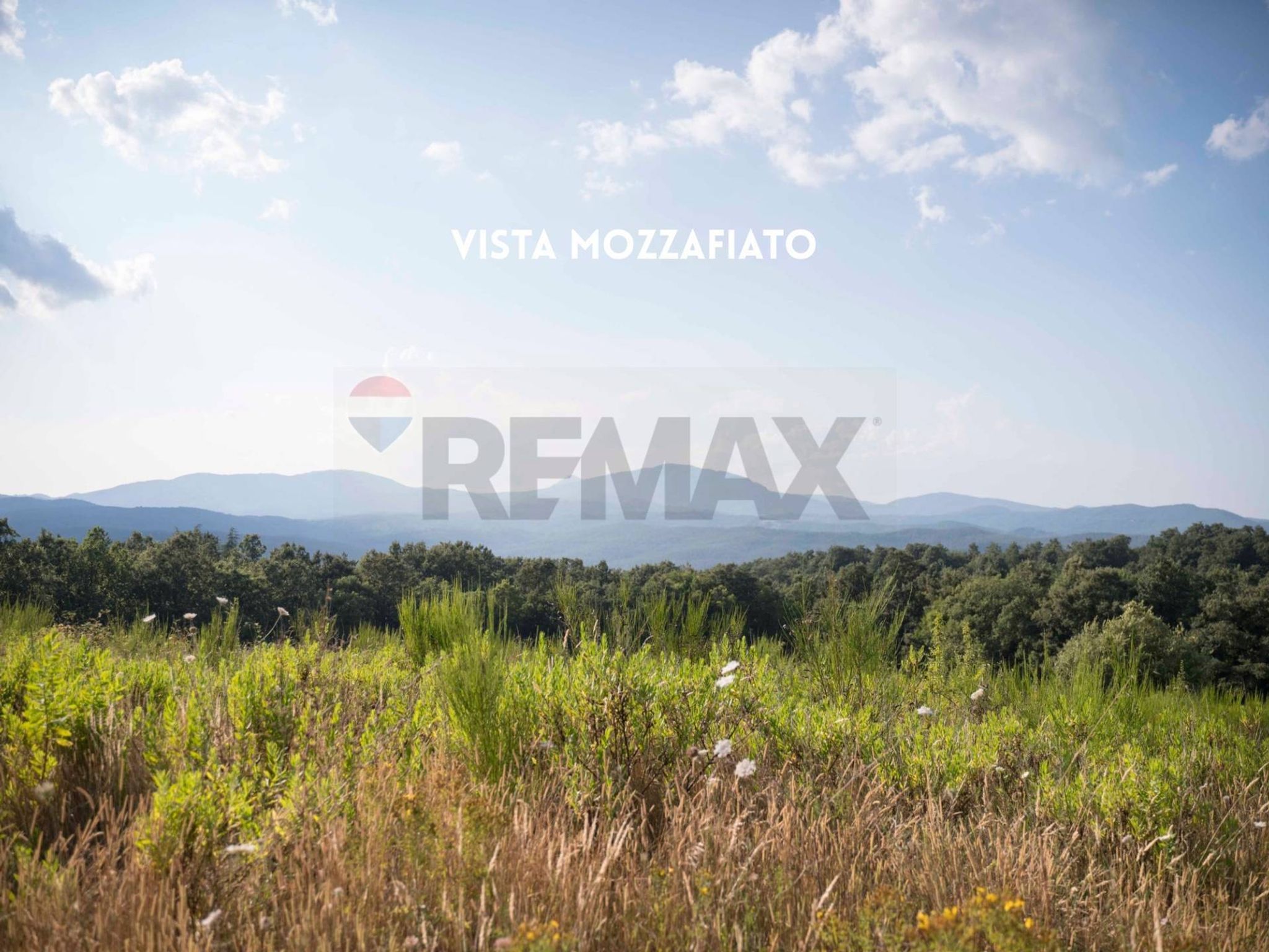 VISTA PANORAMICA