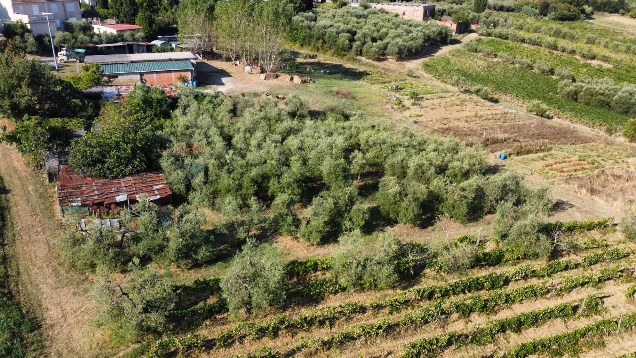 Vista delle montagne