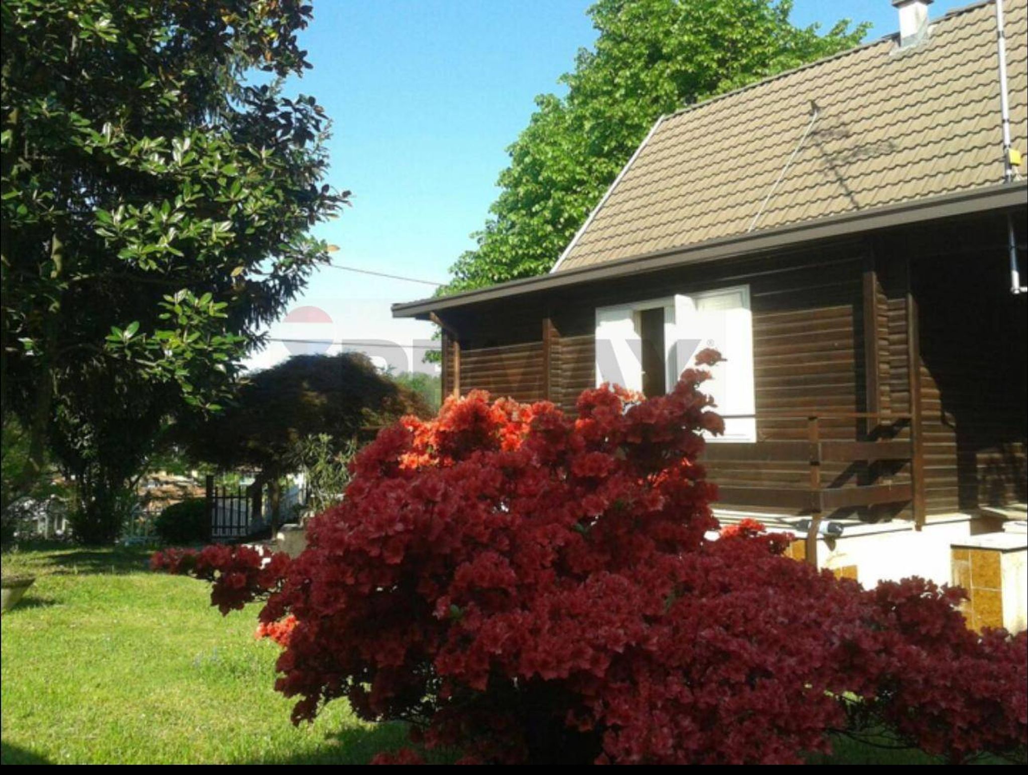 Giardino